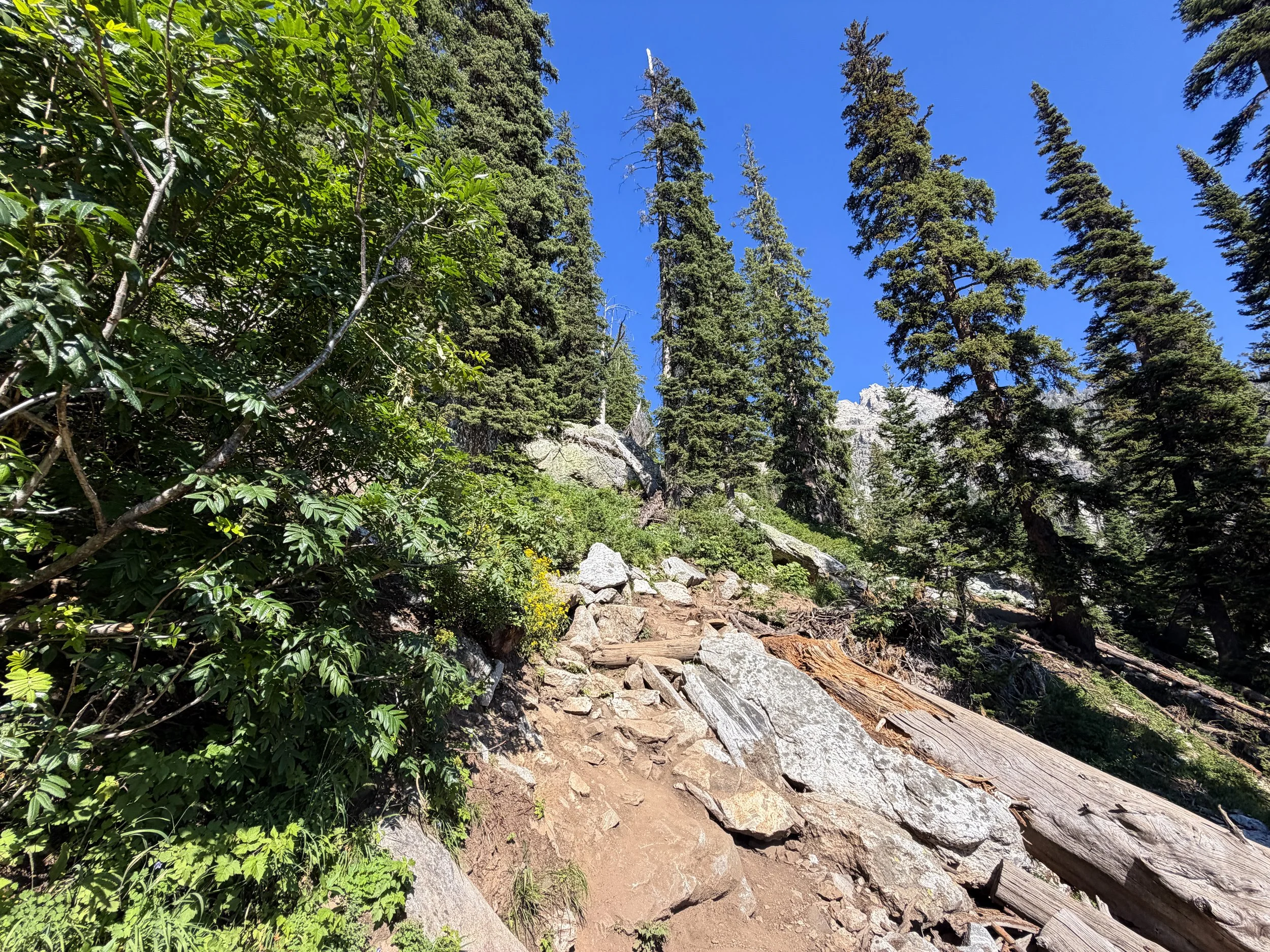 Delta Lake Trail Grand Teton National Park Wyoming