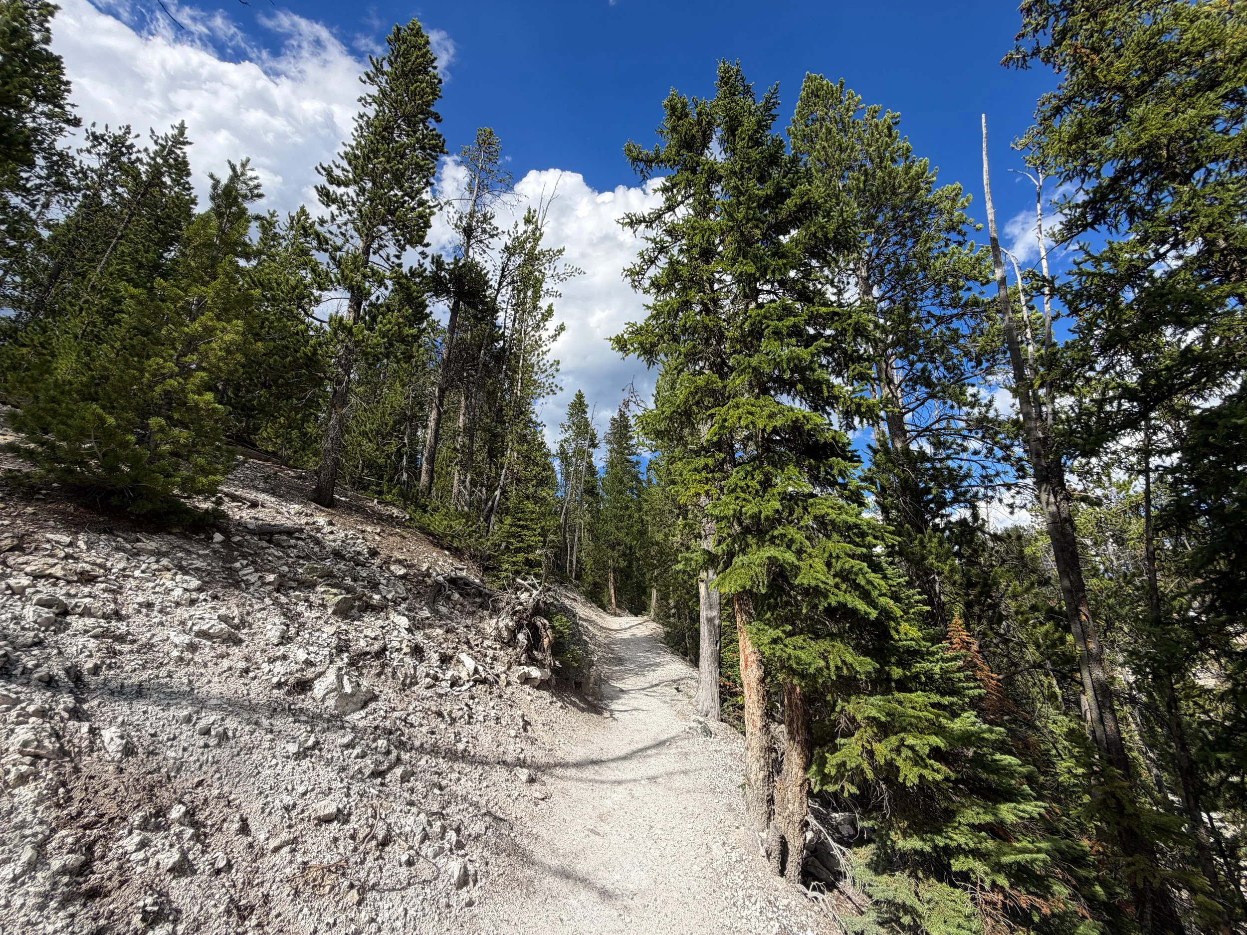North Rim Trail Yellowstone National Park Wyoming
