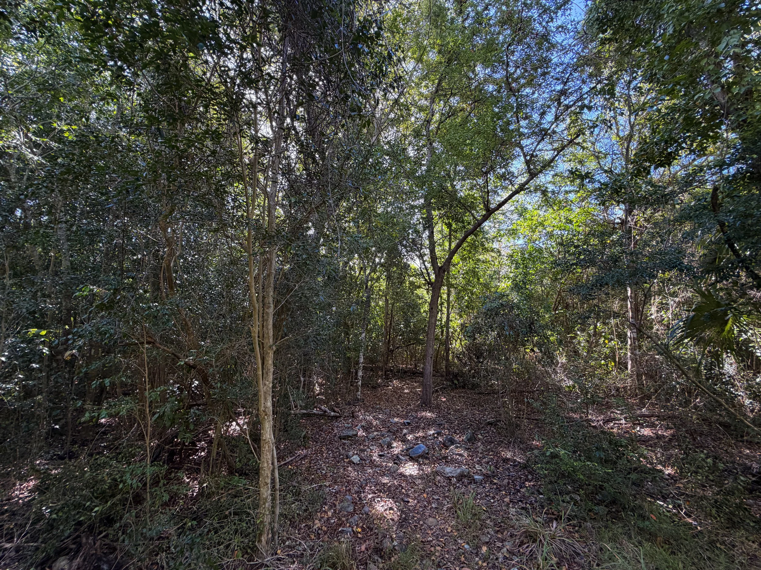 Lameshur Bay Trail to Europa Point Virgin Islands National Park