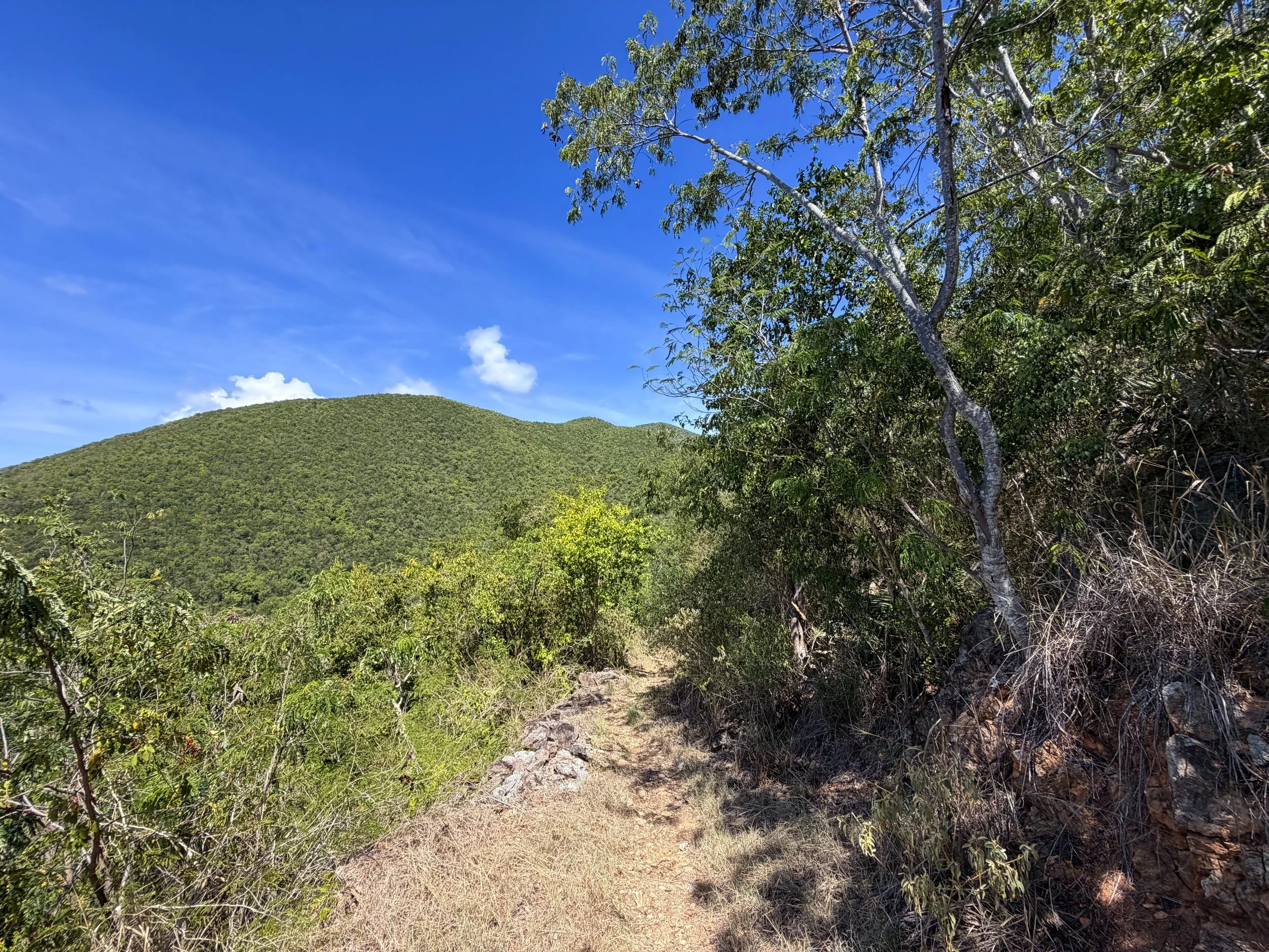 Lameshur Bay Trail Virgin Islands National Park