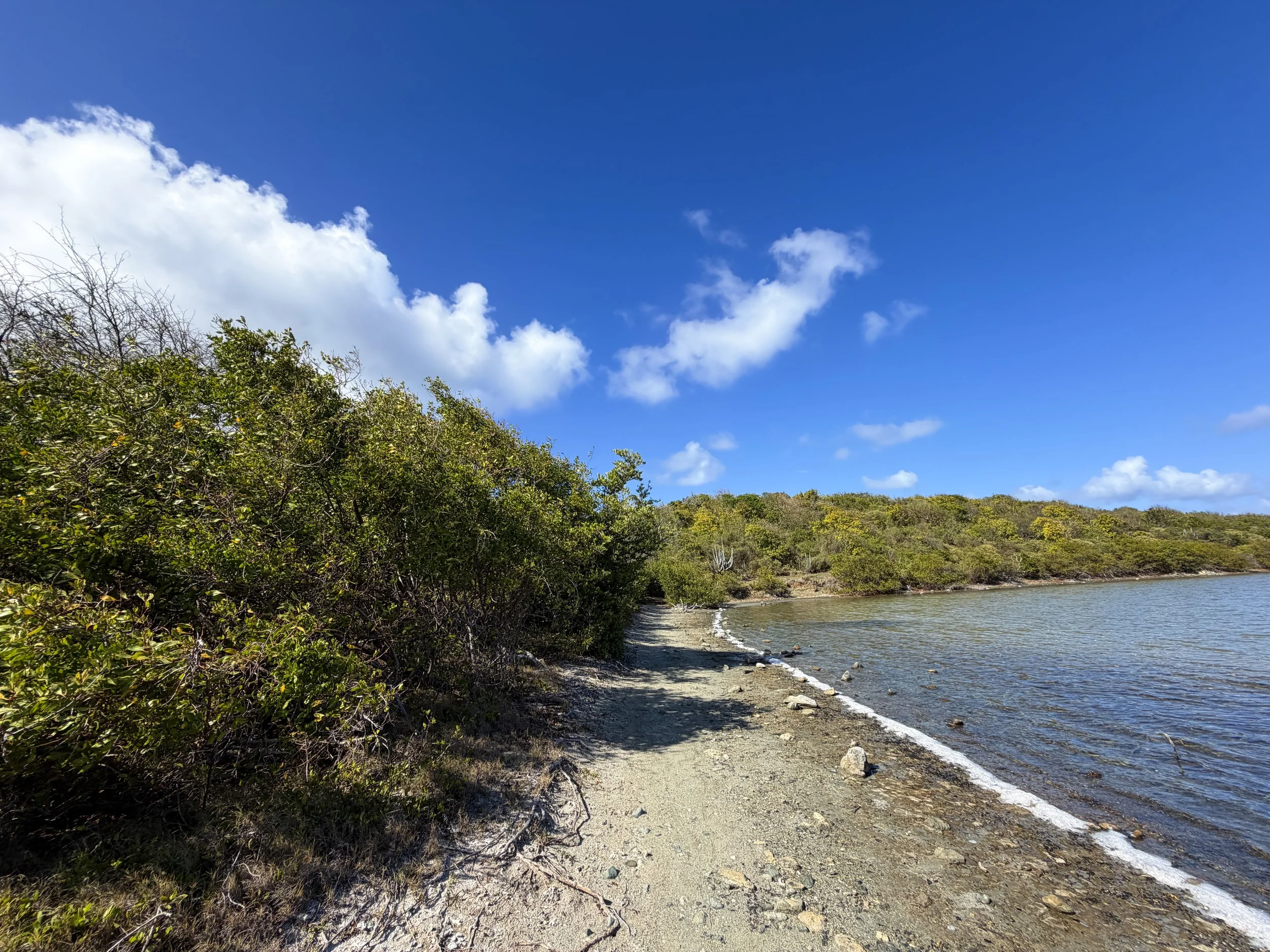 Drunk Bay Hike Virgin Islands National Park