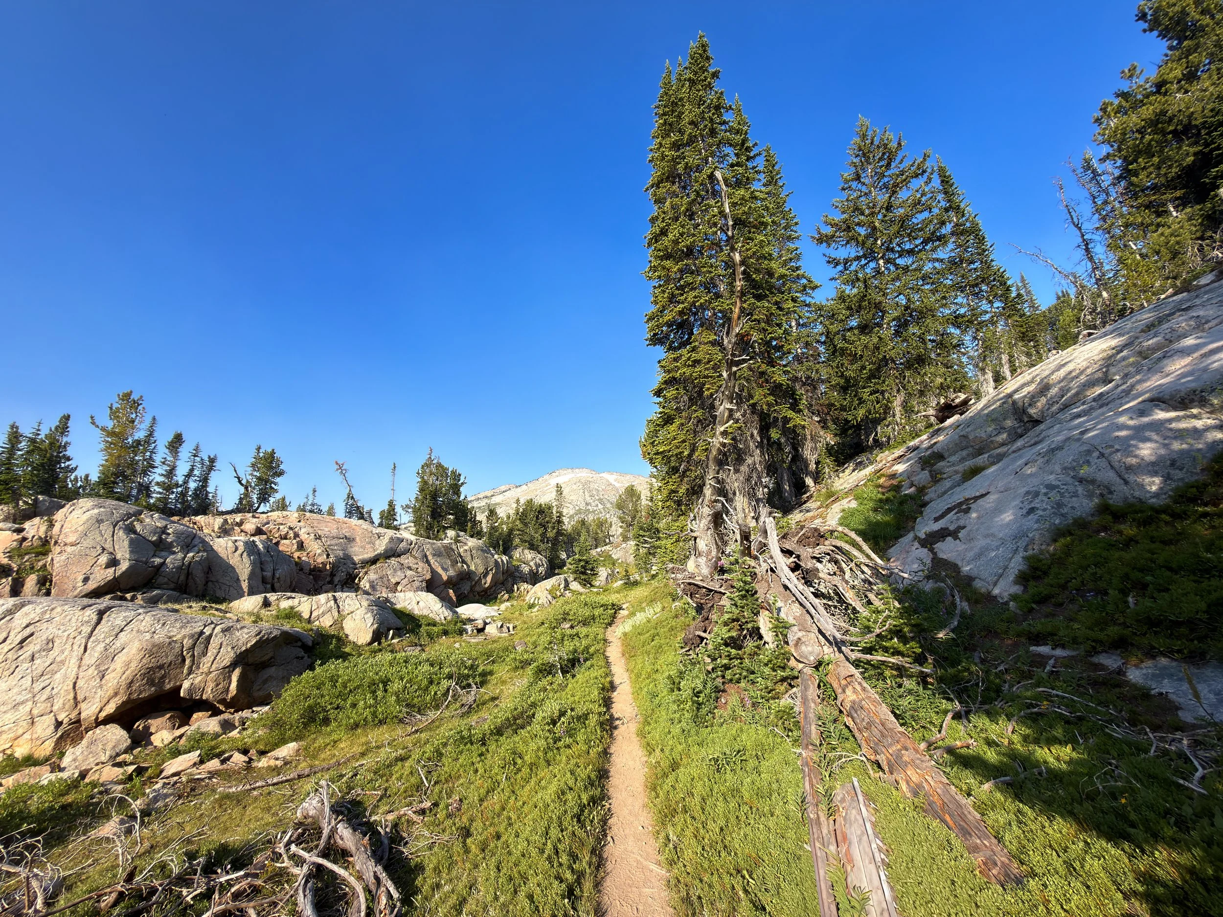 Beaten Path Trail Beartooth Mountains Montana