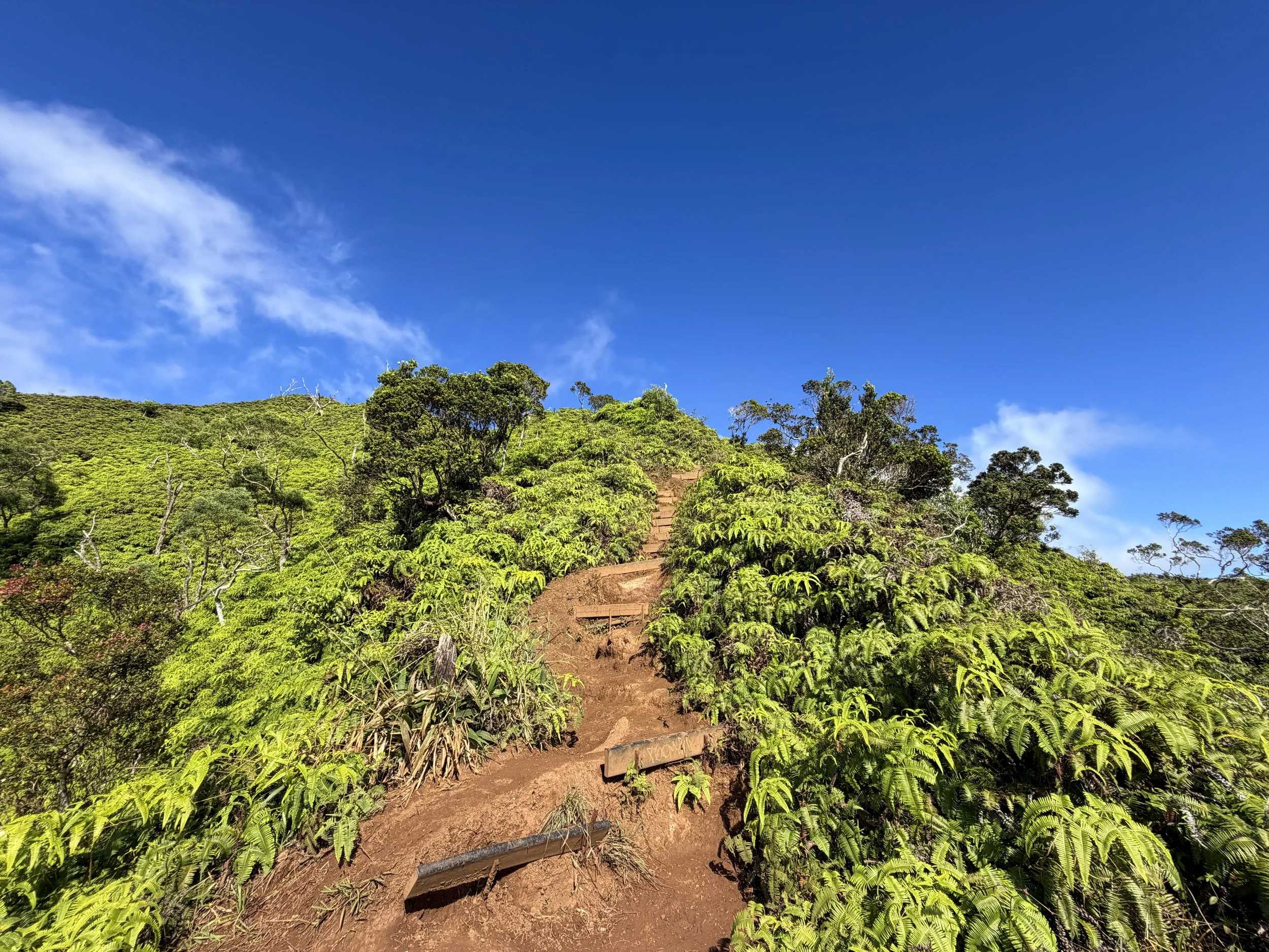 Wiliwilinui Ridge Hike Oahu Hawaii