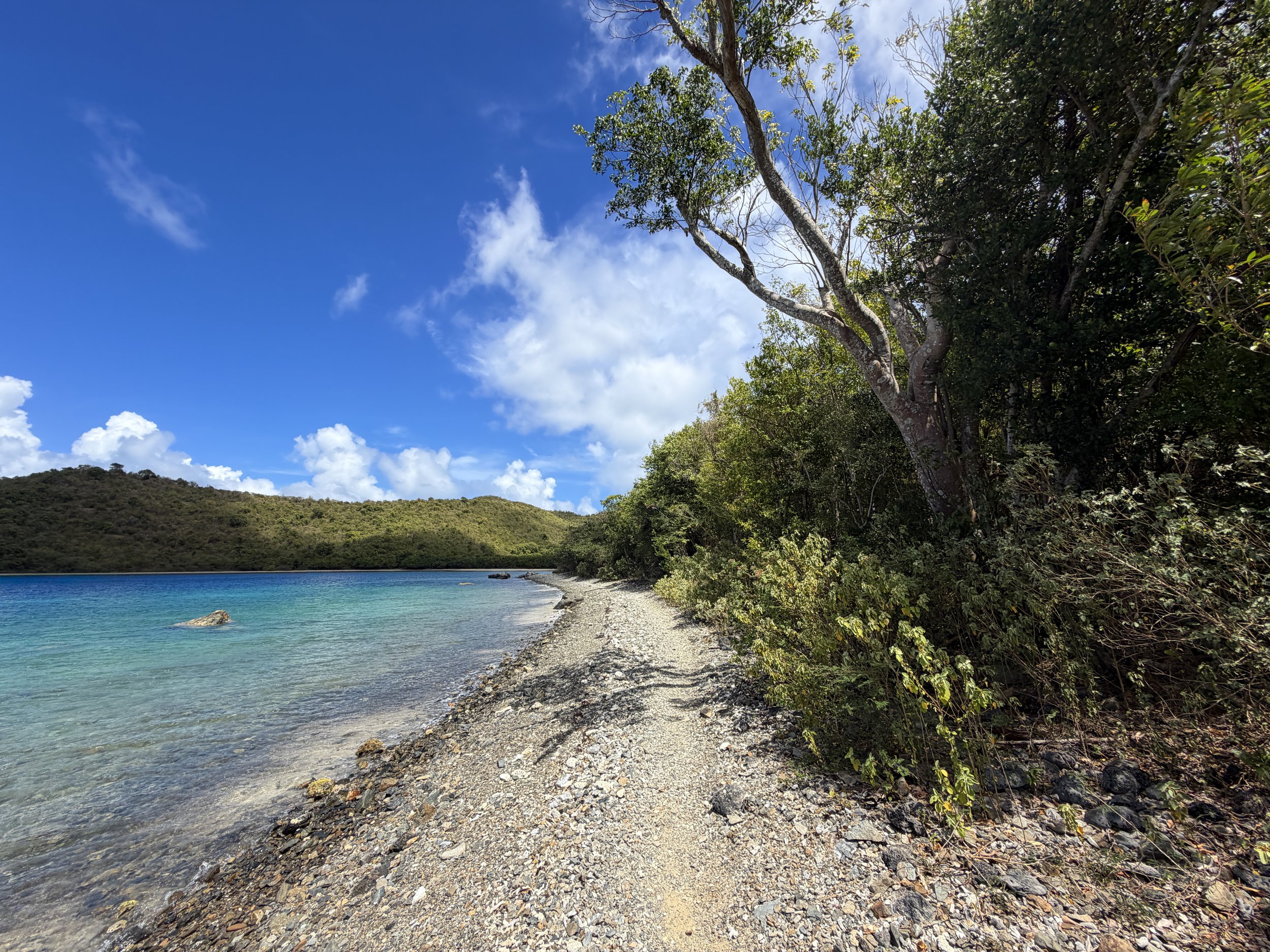 Leinster Bay Hike to Waterlemon Cay Virgin Islands National Park