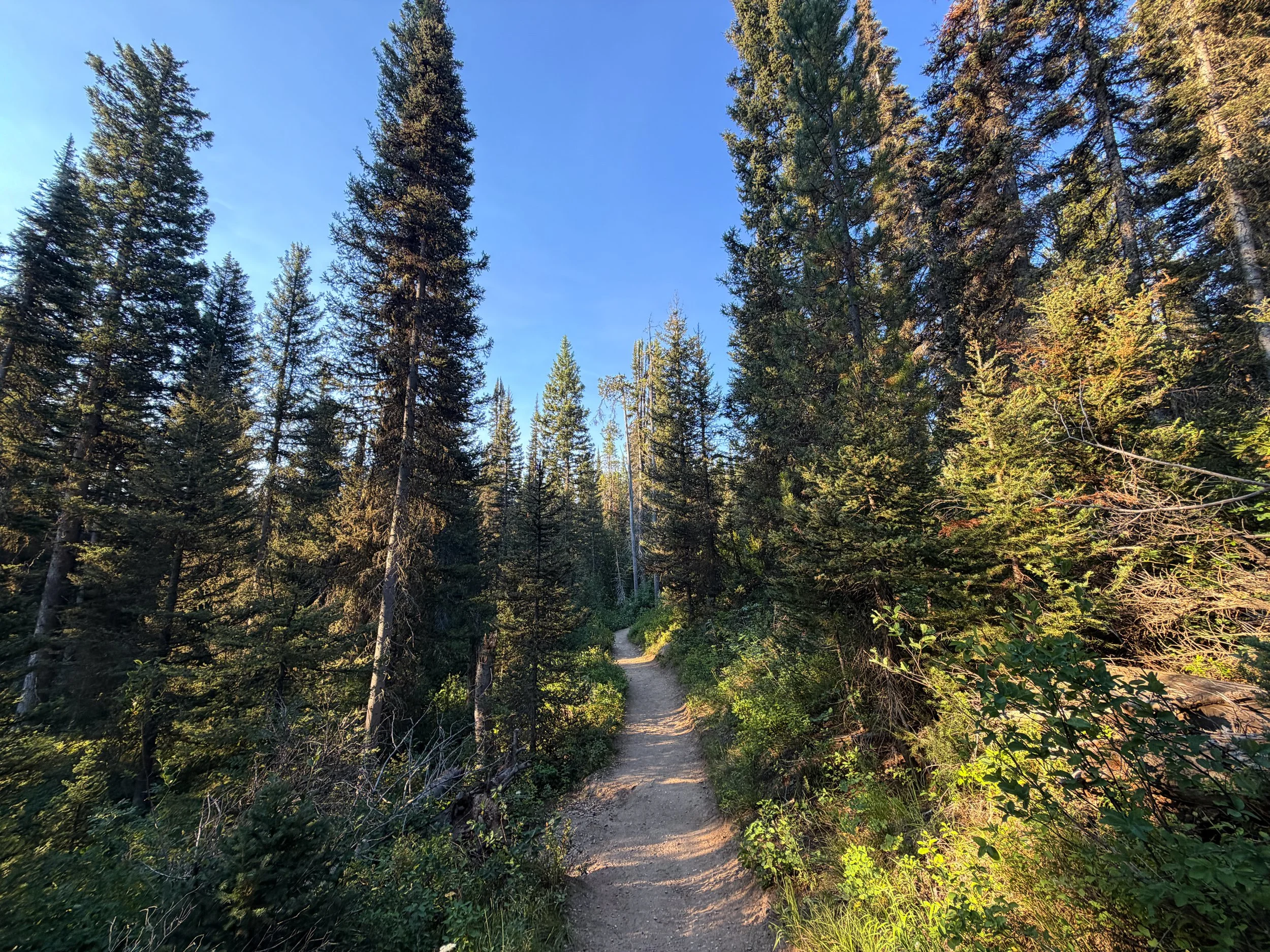 Delta Lake Trail via Lupine Meadows Grand Teton National Park Wyoming