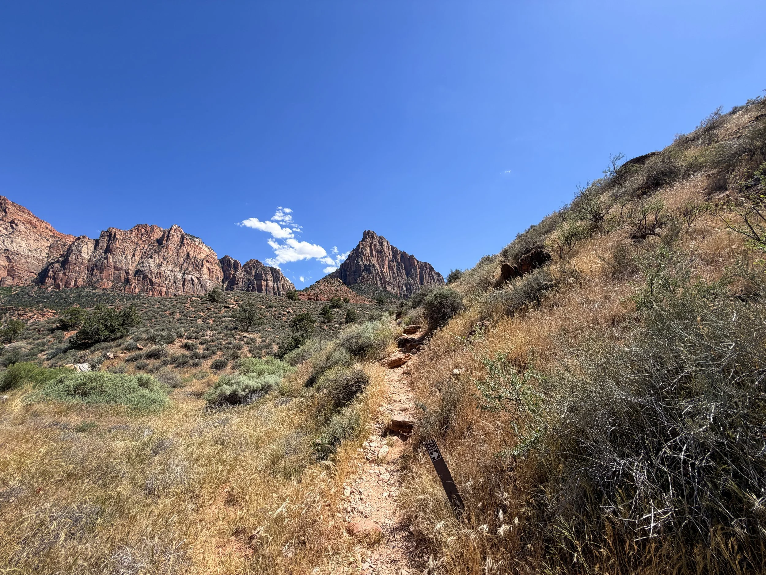 Archaeology Trail Zion National Park Utah