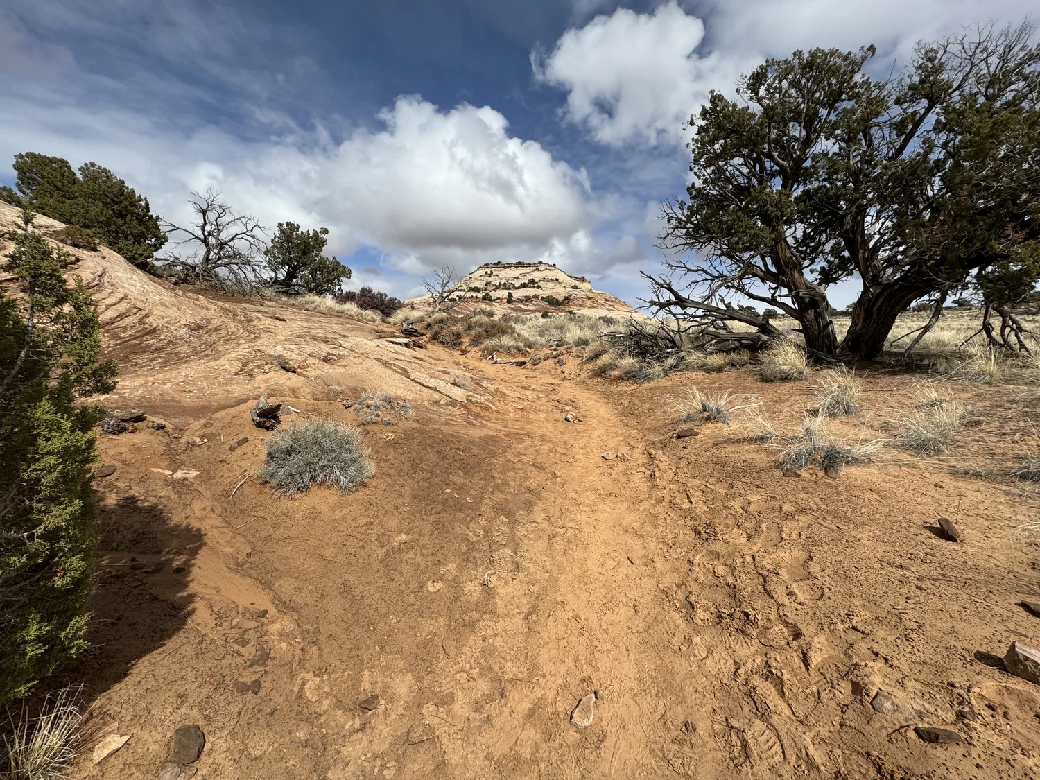 Hiking the Aztec Butte Trail in Canyonlands National Park — noahawaii