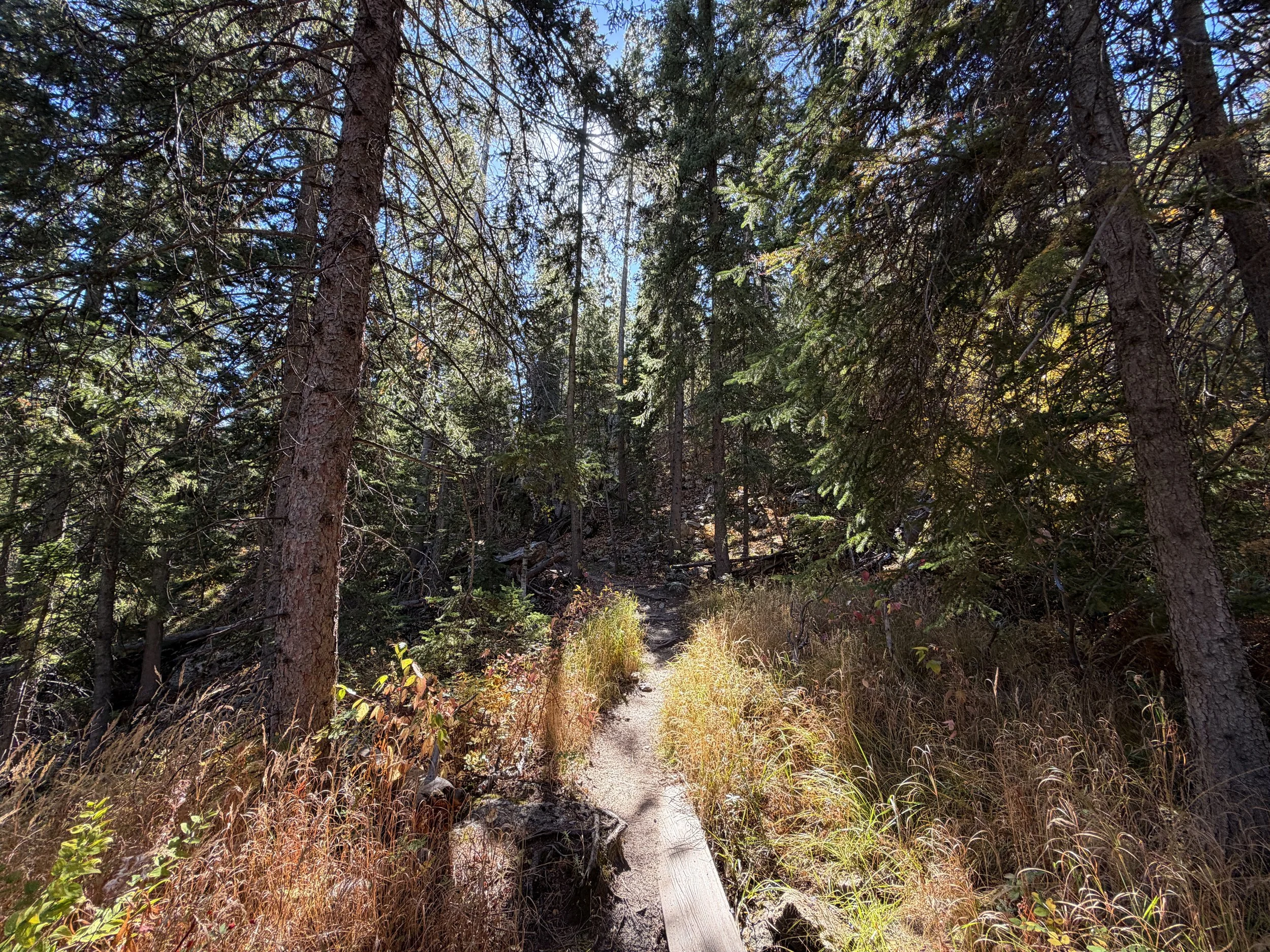 Sunday Gulch Trail Custer State Park Black Hills South Dakota