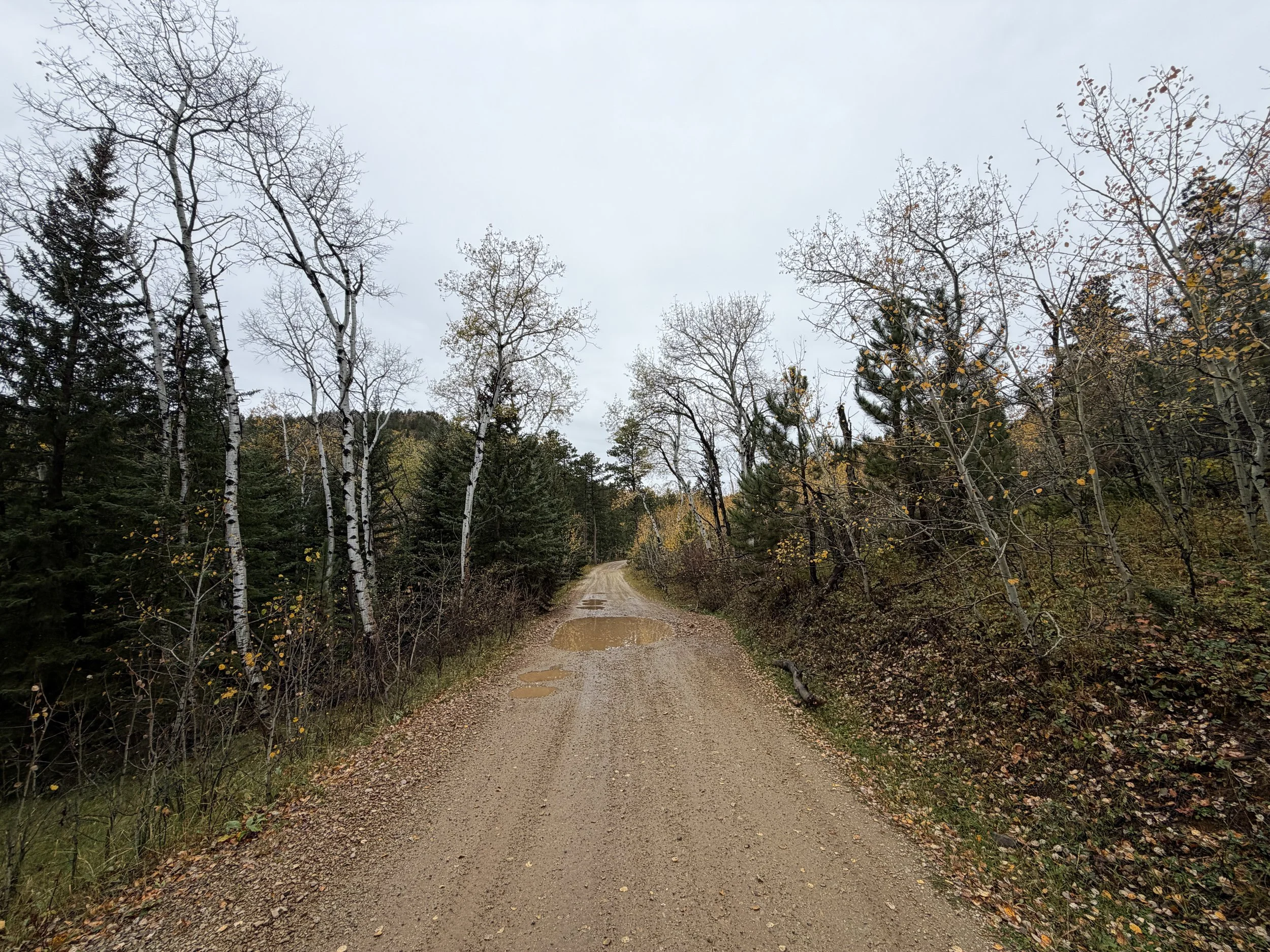 Custer Peak Trail Black Hills South Dakota