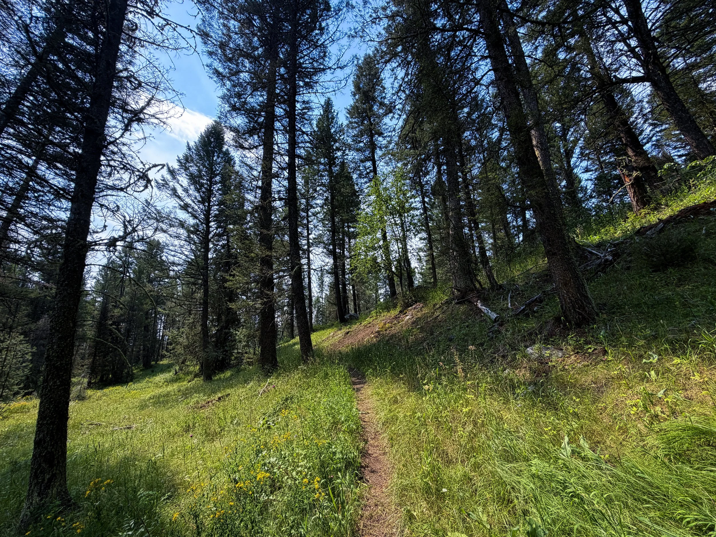 Boulder Ridge Trail Grand Teton National Park Wyoming