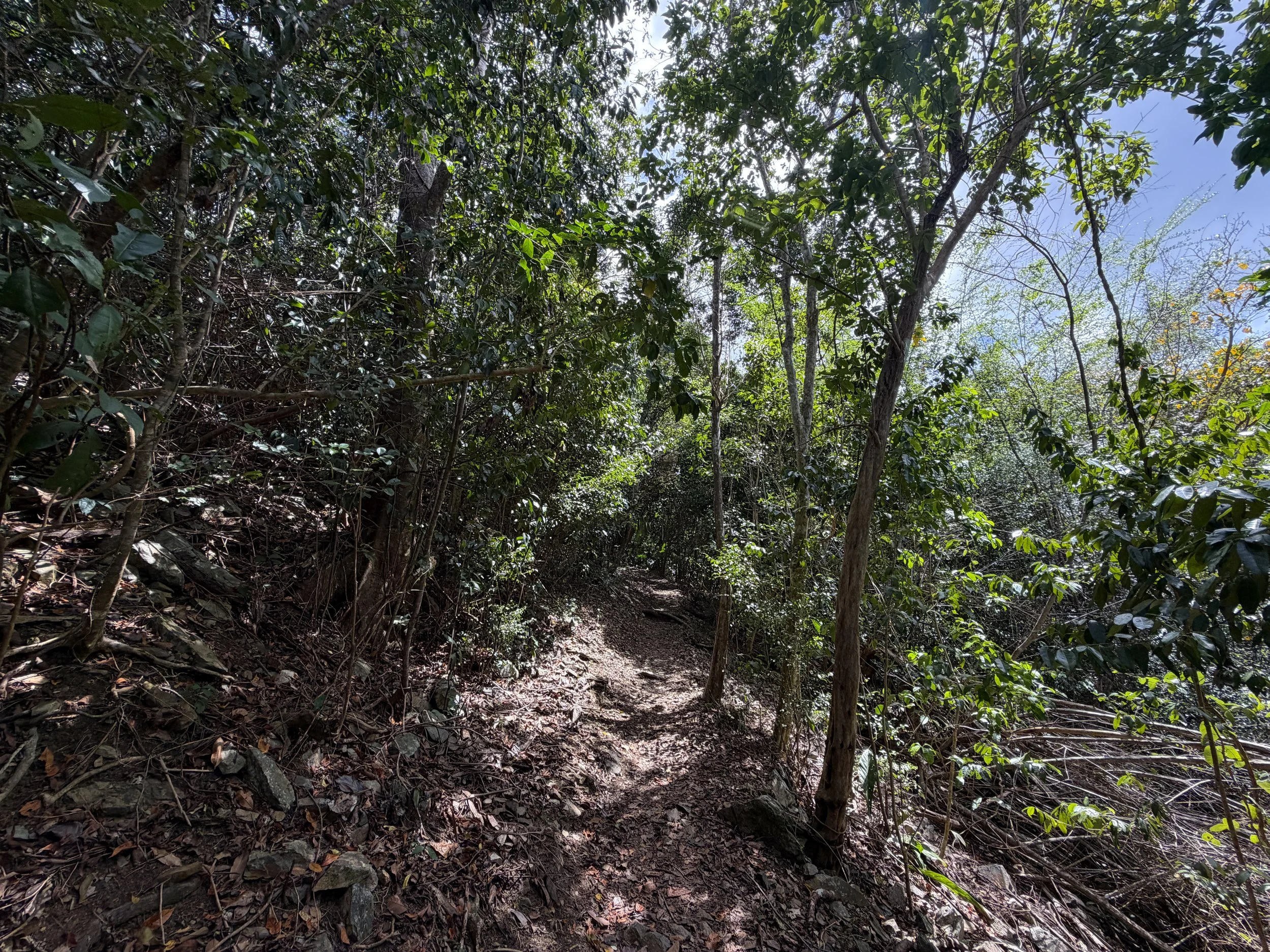 Cinnamon Bay Hike Virgin Islands National Park