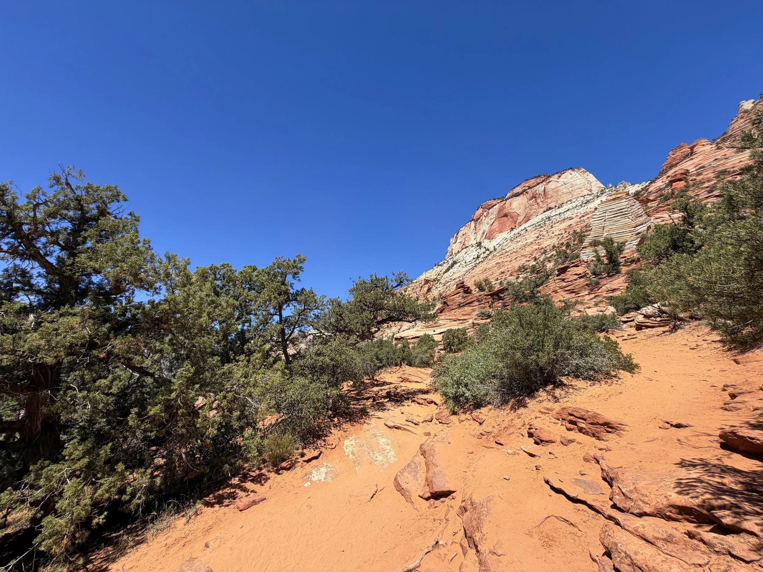Canyon Overlook Trail Zion National Park Utah