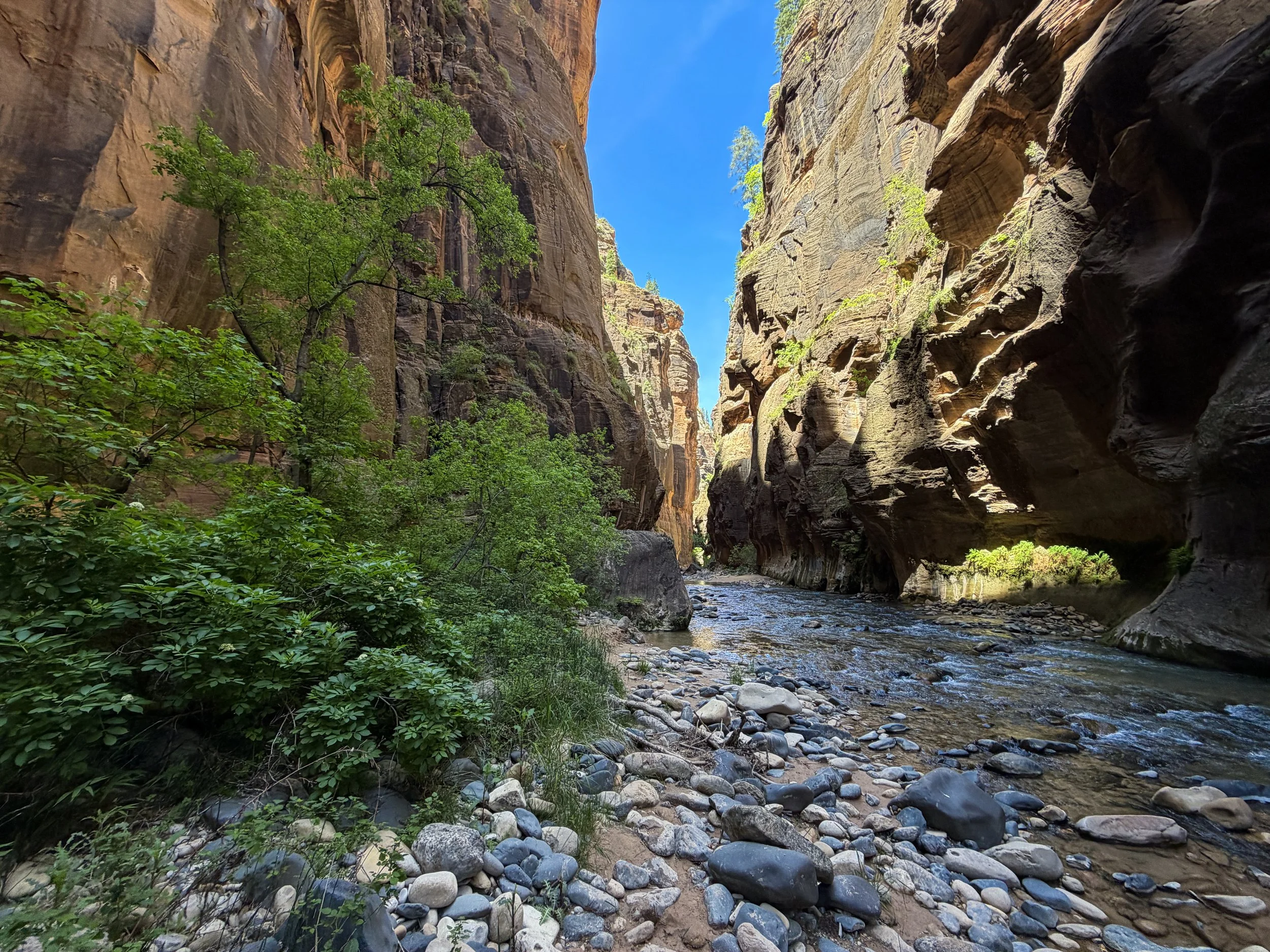 The Narrows Bottom-Up Hike to Big Springs Zion National Park Utah
