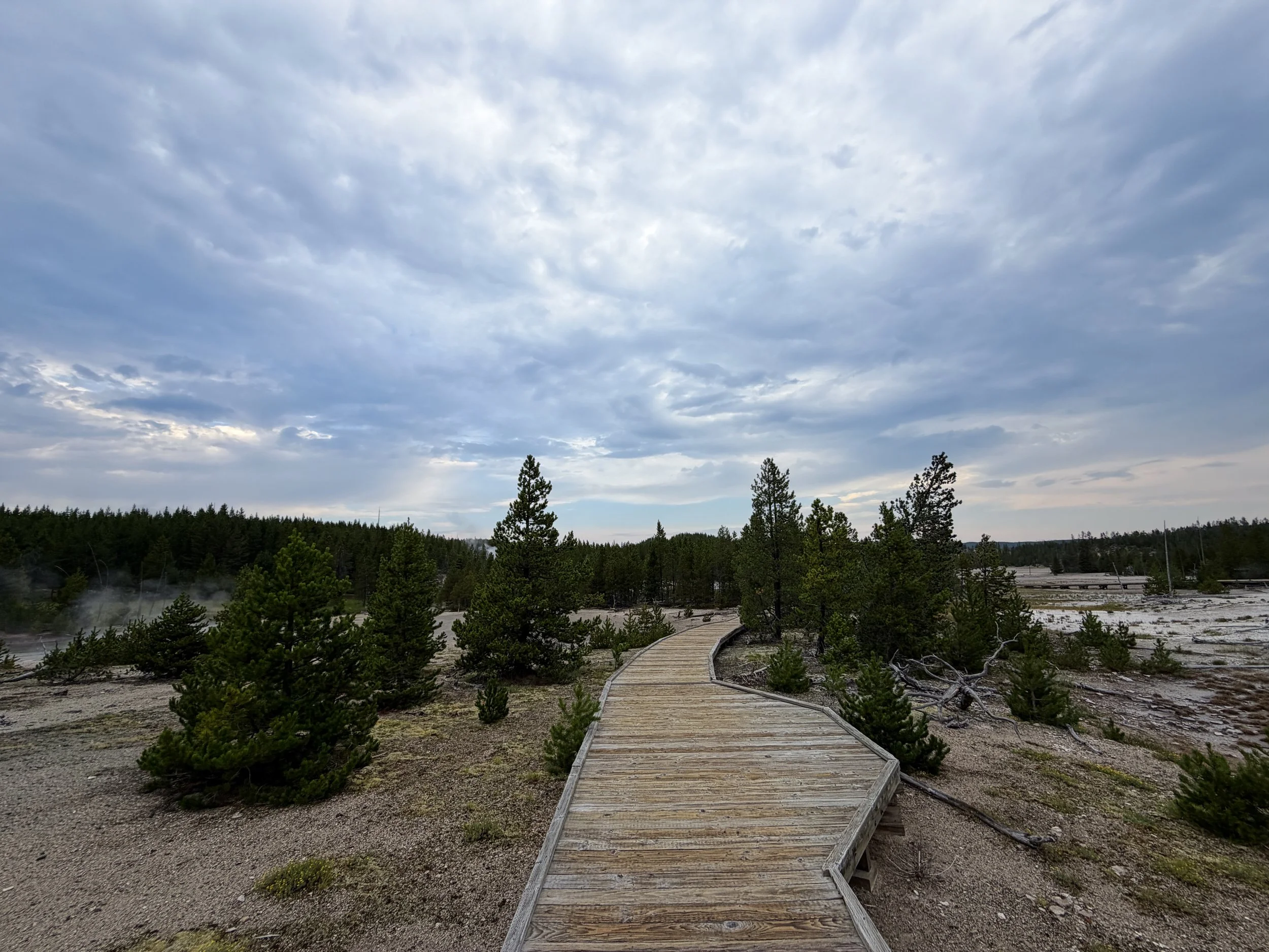 Back Basin Norris Geyser Basin Trail Yellowstone National Park Wyoming