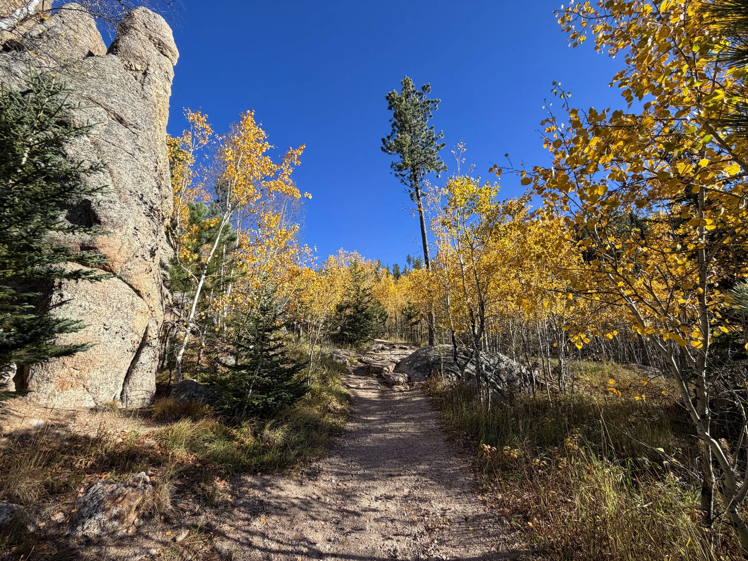 Little Devils Tower Trail Fall Colors Custer State Park Black Hills South Dakota