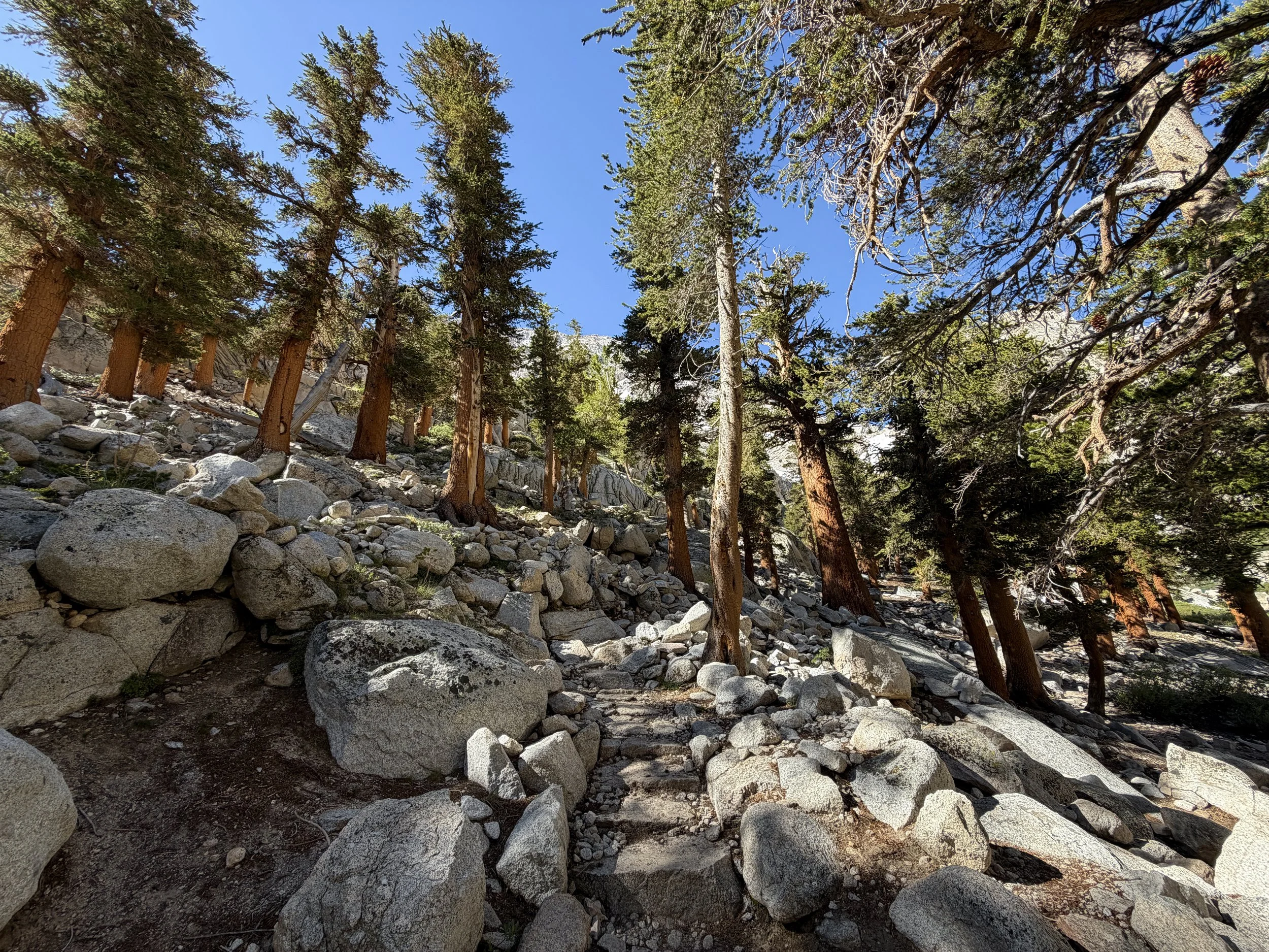 Mount Whitney Trail Lone Pine California