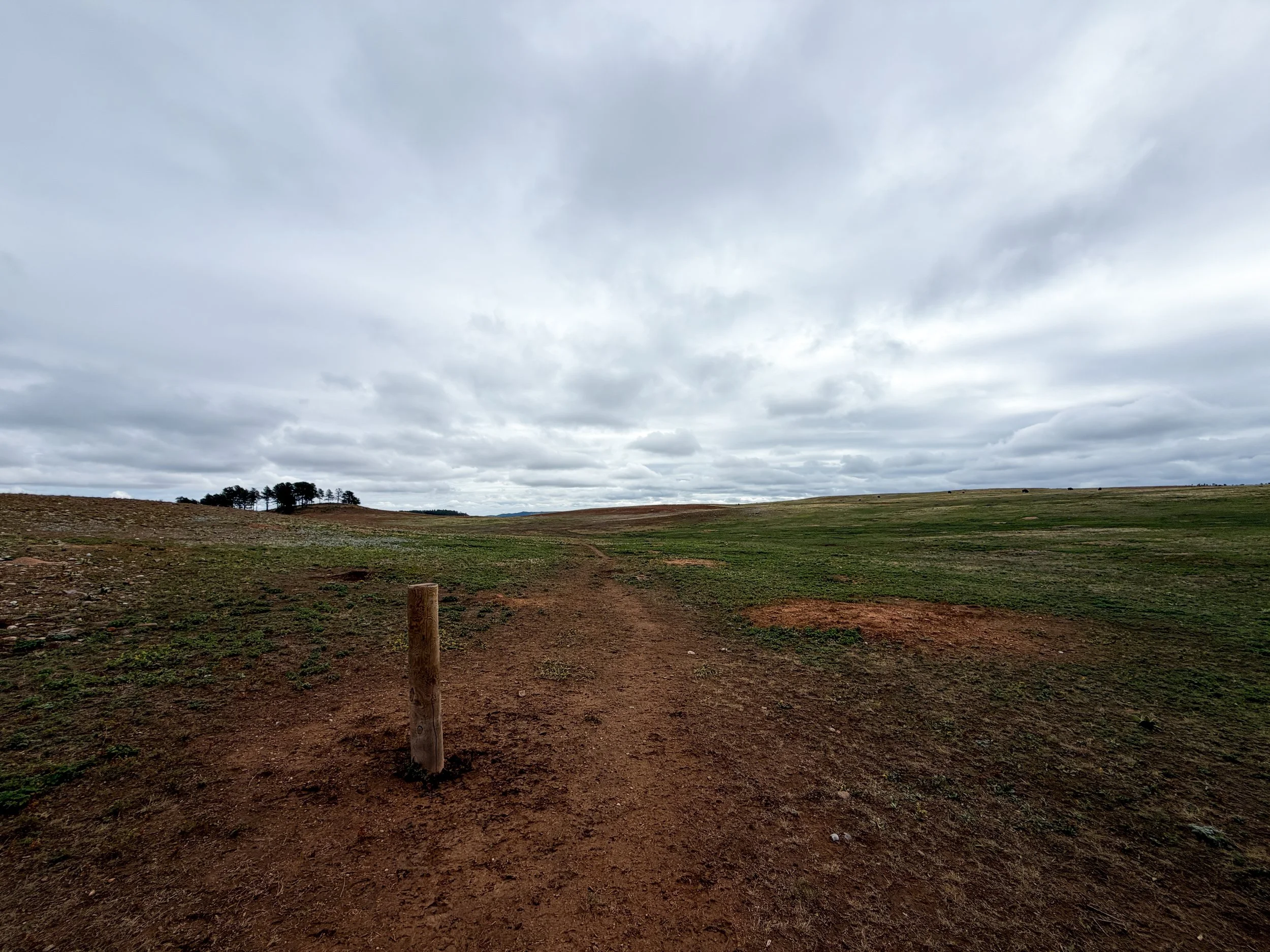Highland Creek Trail Wind Cave National Park South Dakota