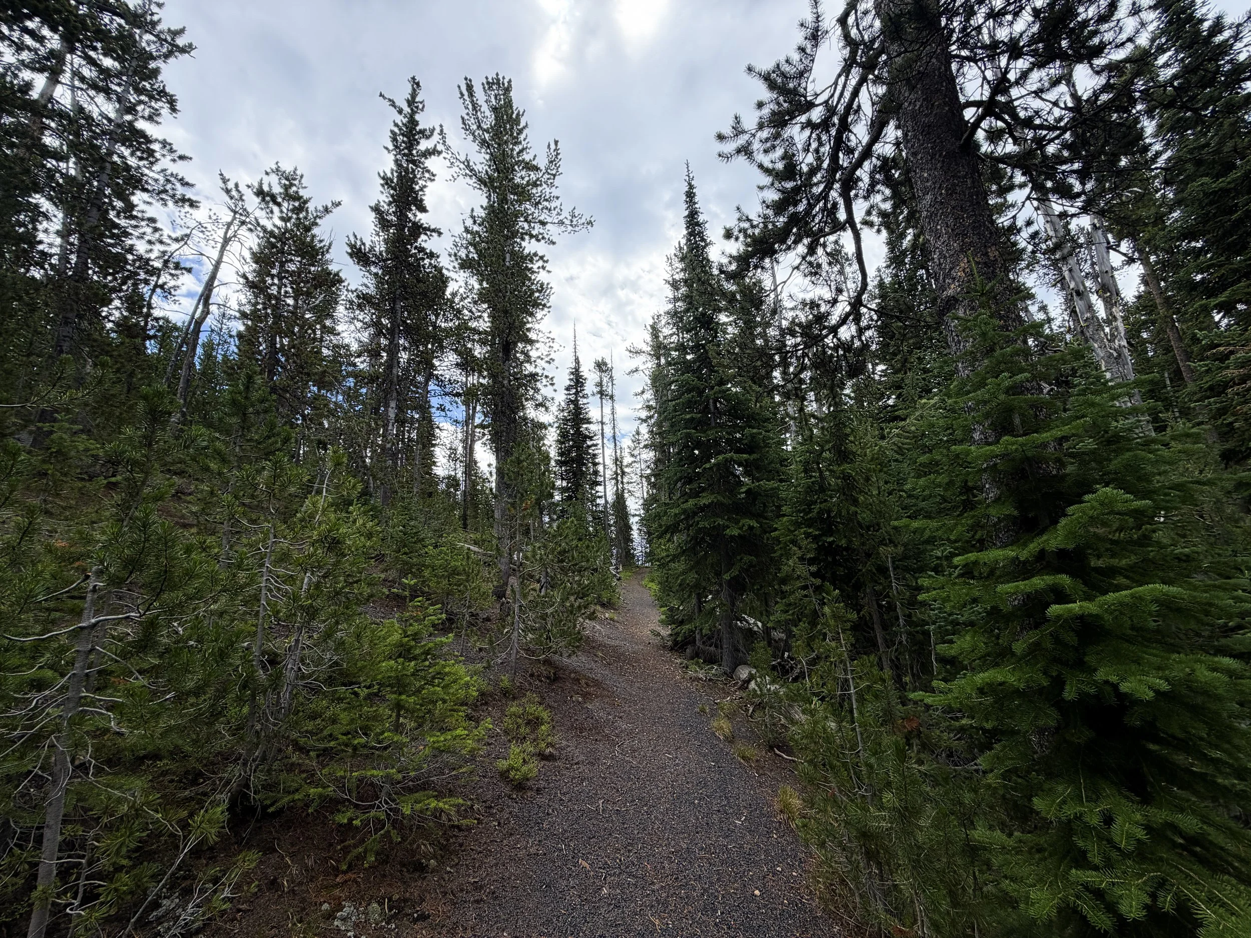 Divide Trail Yellowstone National Park Wyoming
