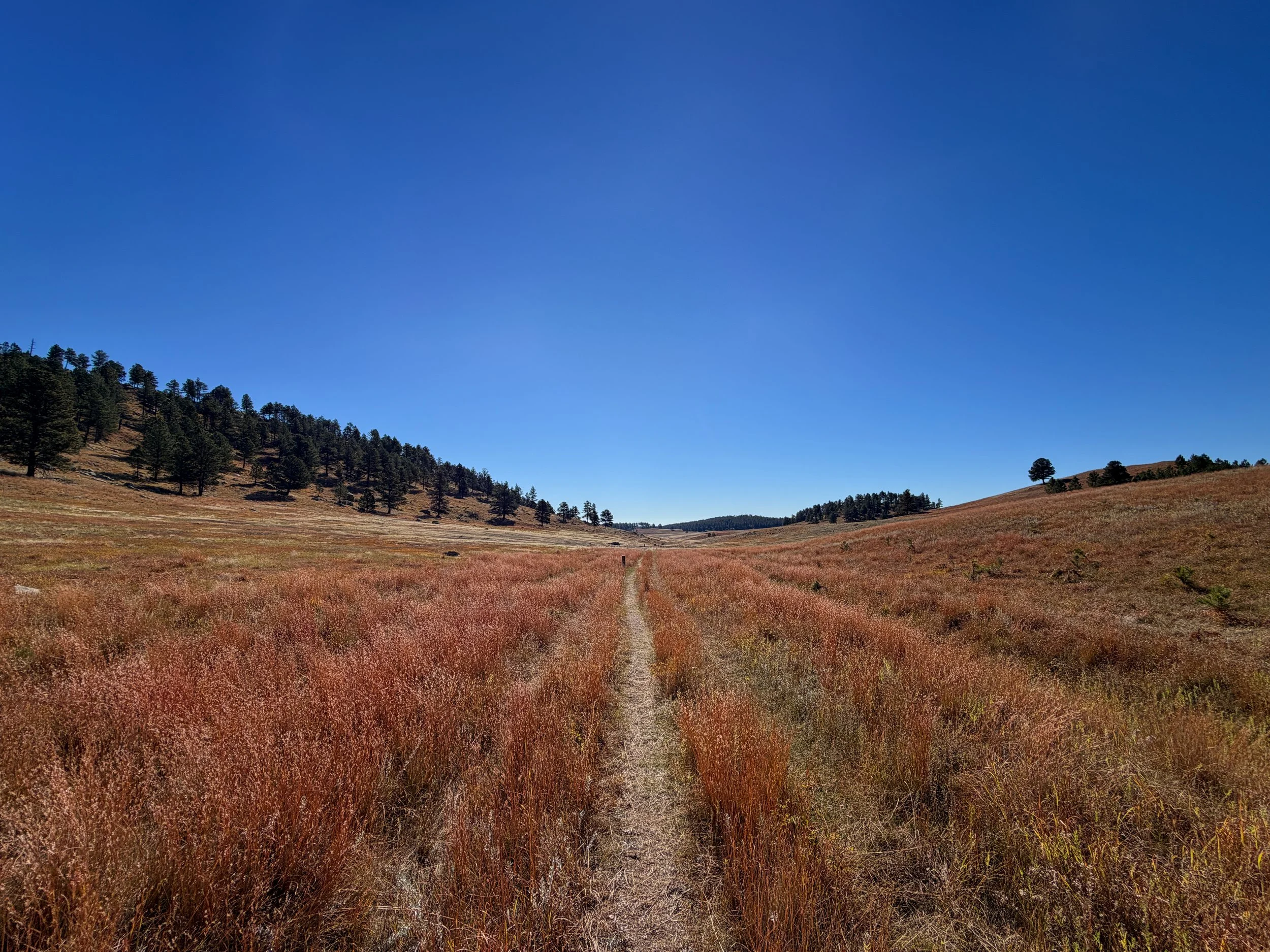 Sanctuary Trail Wind Cave National Park South Dakota