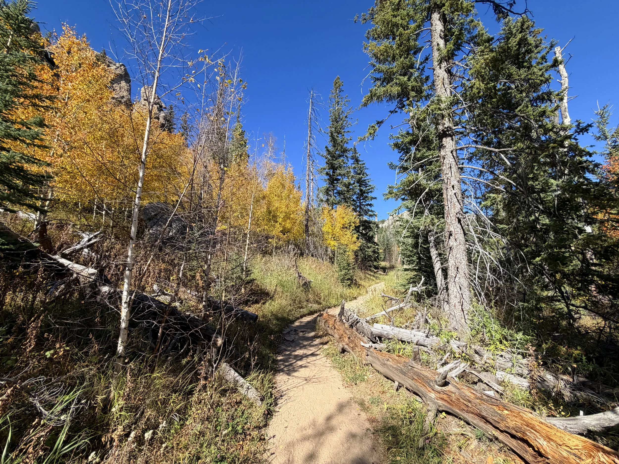 Black Elk Peak via Trail 9 Black Hills South Dakota