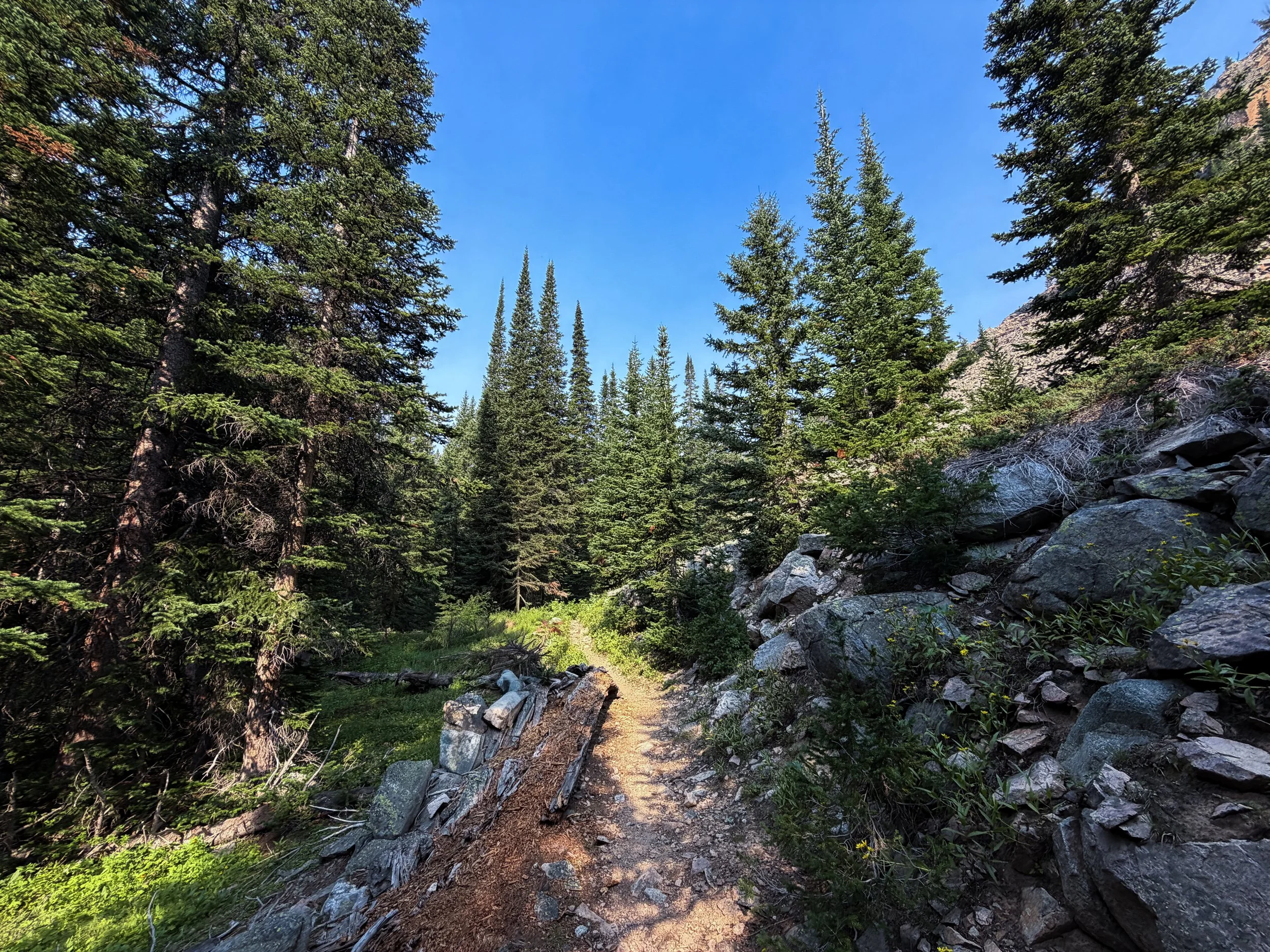 East Rosebud Trail The Beaten Path Beartooth Mountains Montana