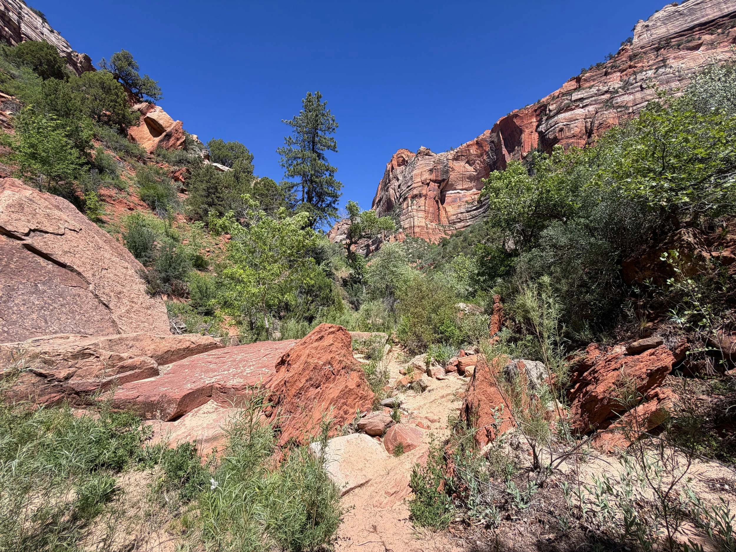 Subway Trail Left Fork North Creek Zion National Park Utah