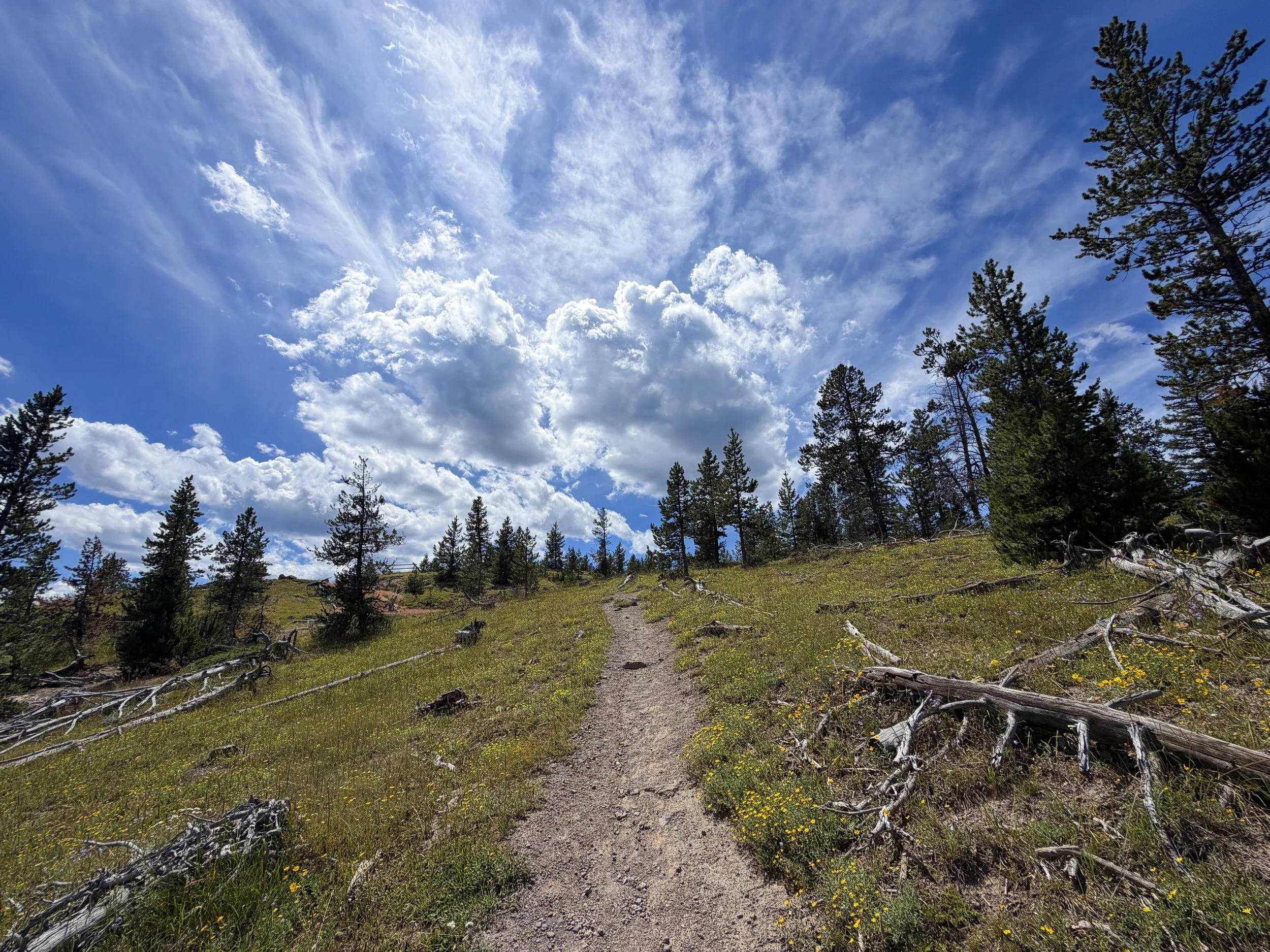 West Thumb Overlook Loop Trail Yellowstone National Park Wyoming