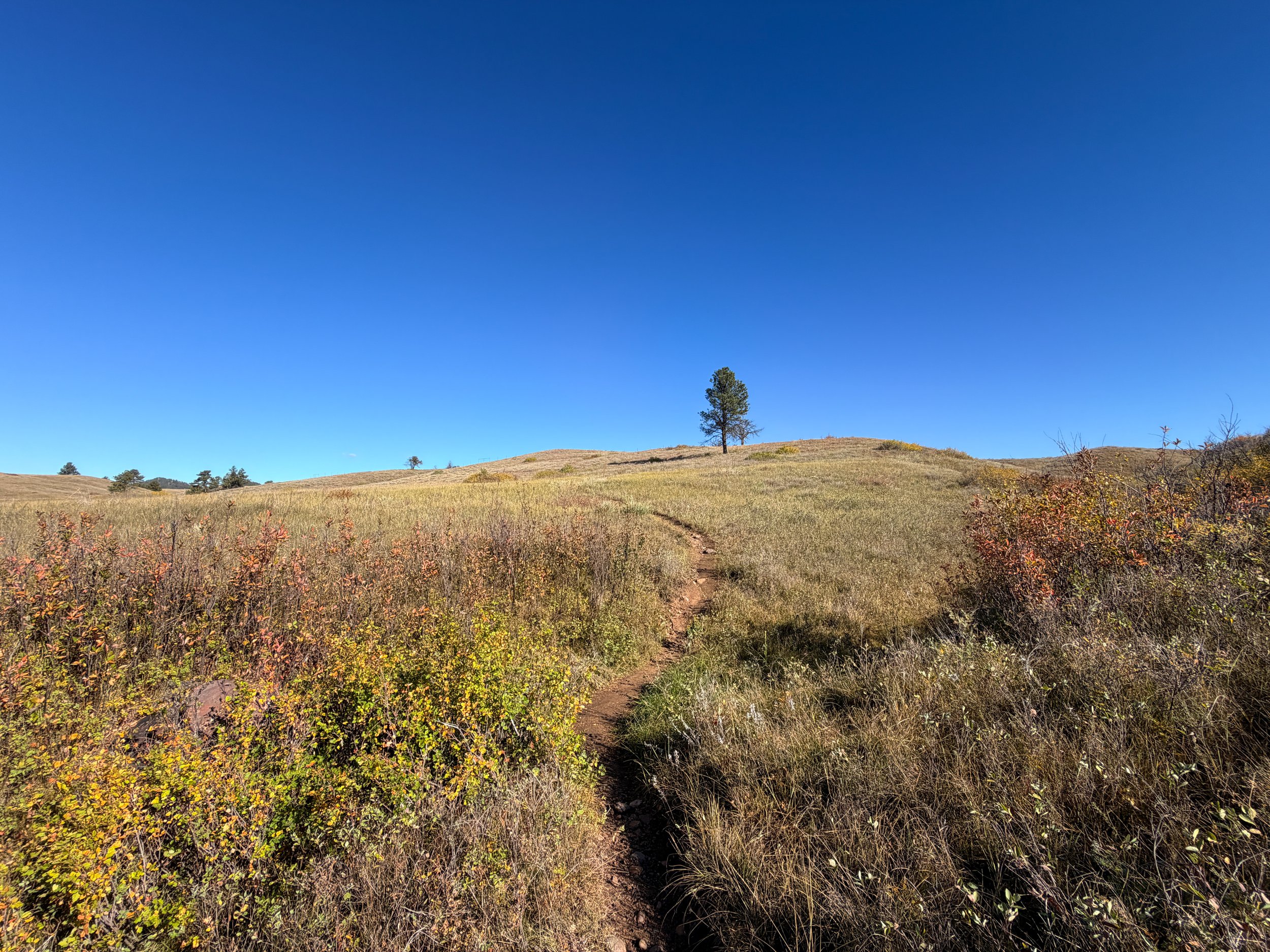 Prairie Vista Trail Wind Cave National Park South Dakota