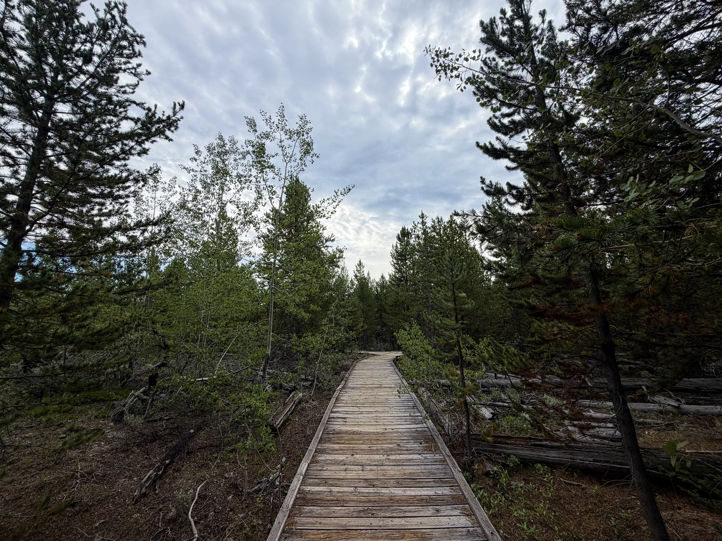 Forces of the Northern Range Hike Yellowstone National Park Wyoming