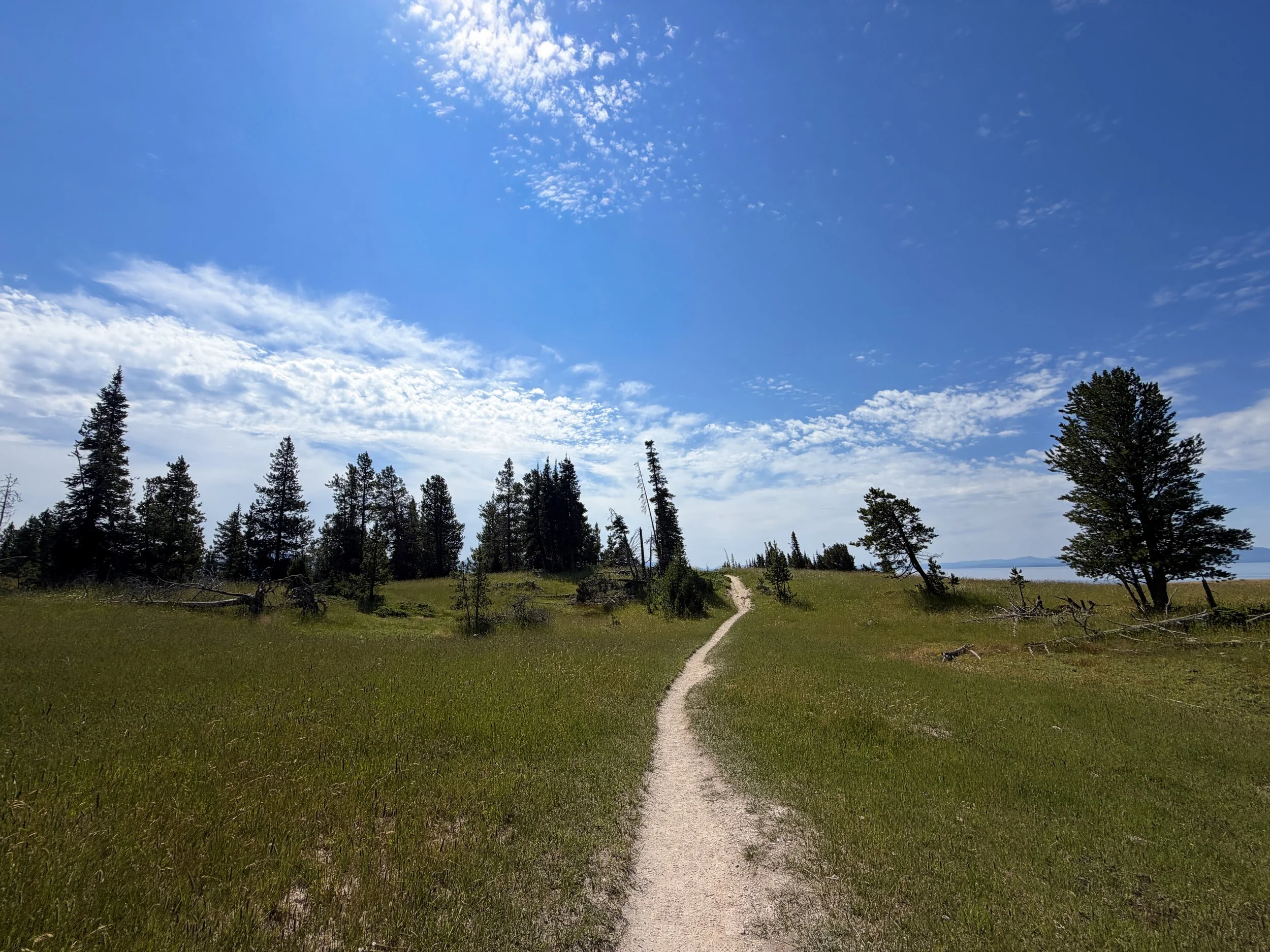 Storm Point Hike Yellowstone National Park Wyoming