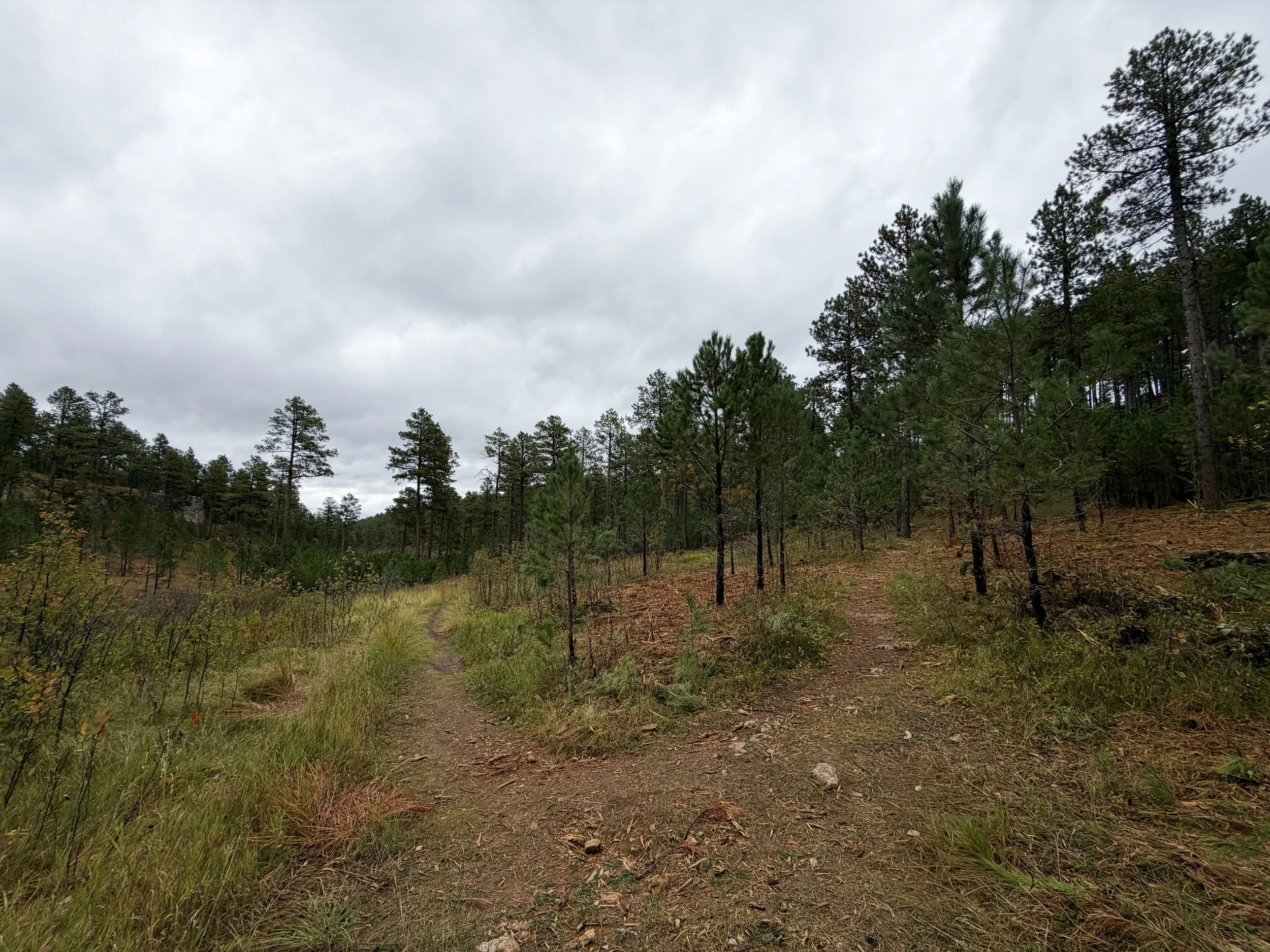 Buzzards Roost Hike Black Hills South Dakota