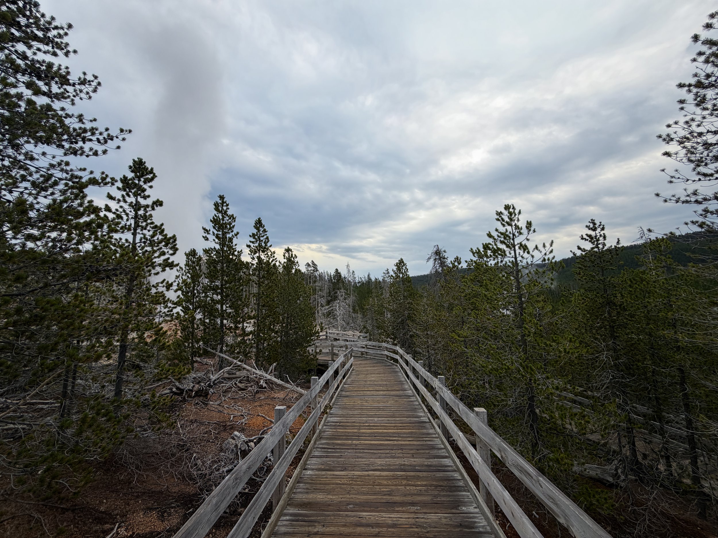 Norris Geyser Basin Trail Yellowstone National Park Wyoming