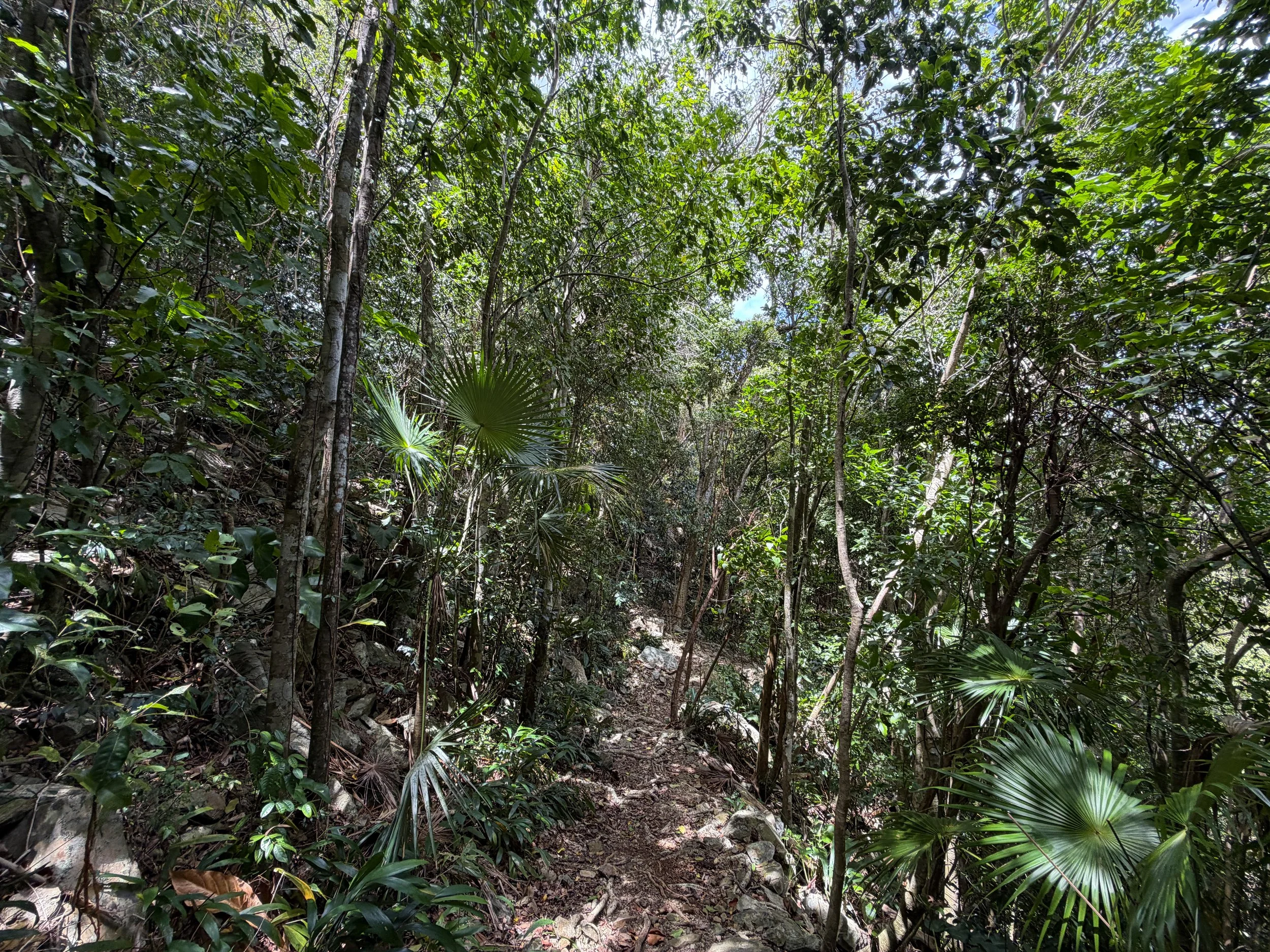 Maria Hope Hike Virgin Islands National Park