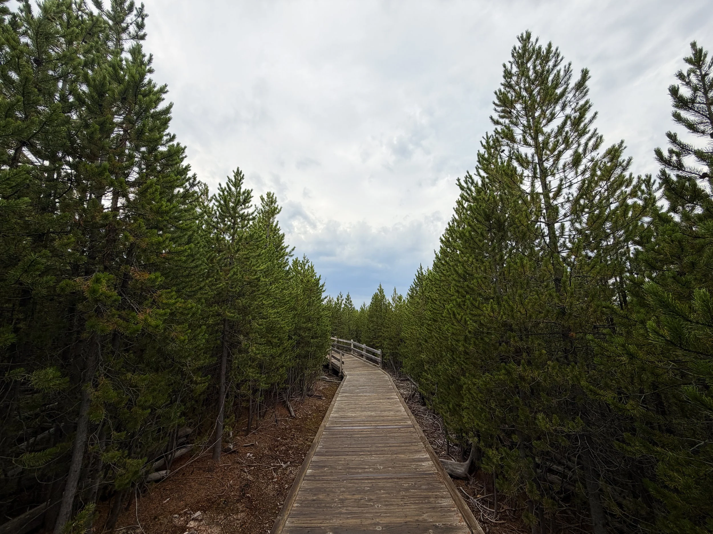 Norris Geyser Basin Trail Yellowstone National Park Wyoming
