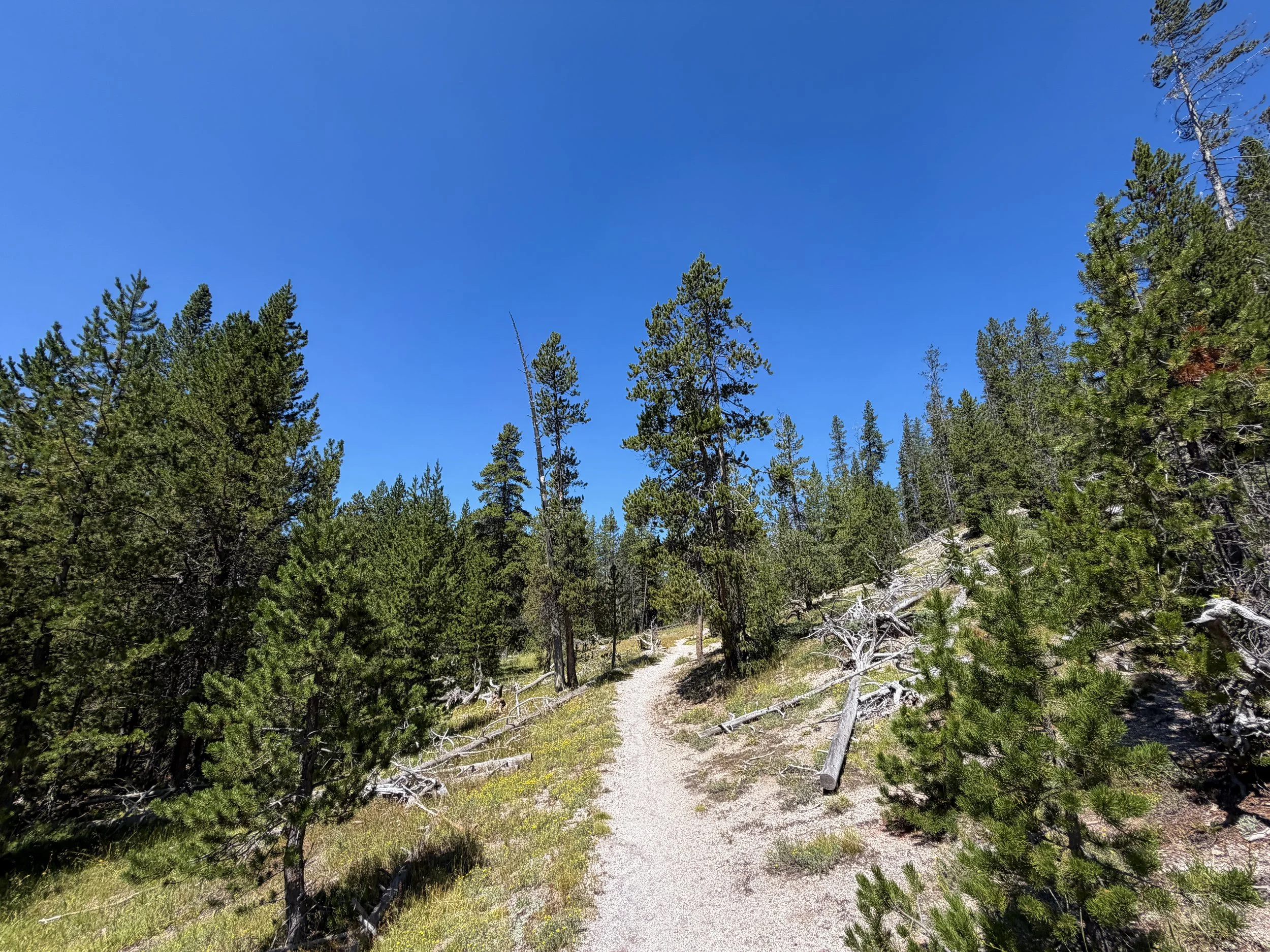 Lone Star Geyser Trail Yellowstone National Park Wyoming