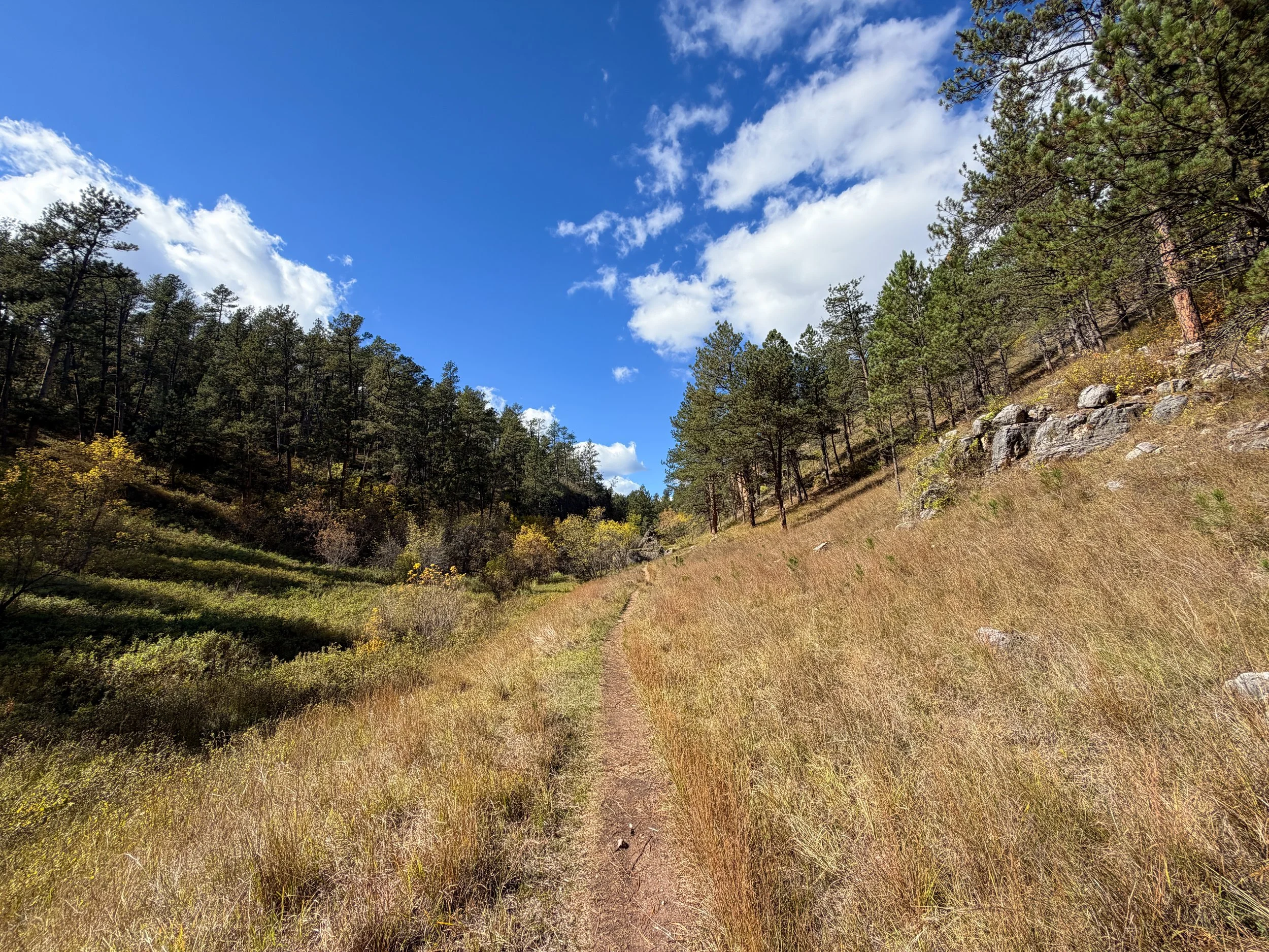 Lookout Point Loop Trail Wind Cave National Park South Dakota