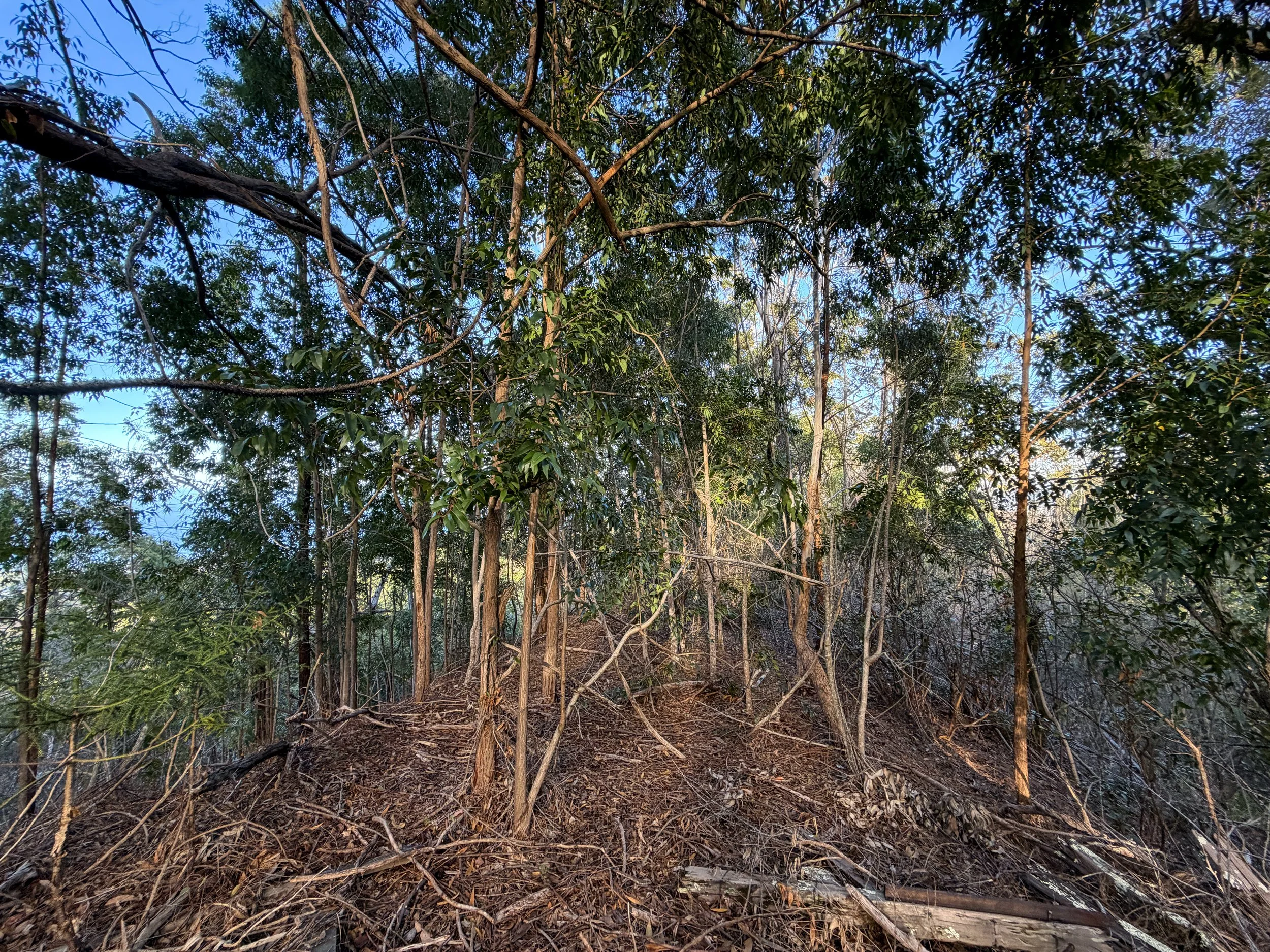 Mokuleia Trail Oahu Hawaii