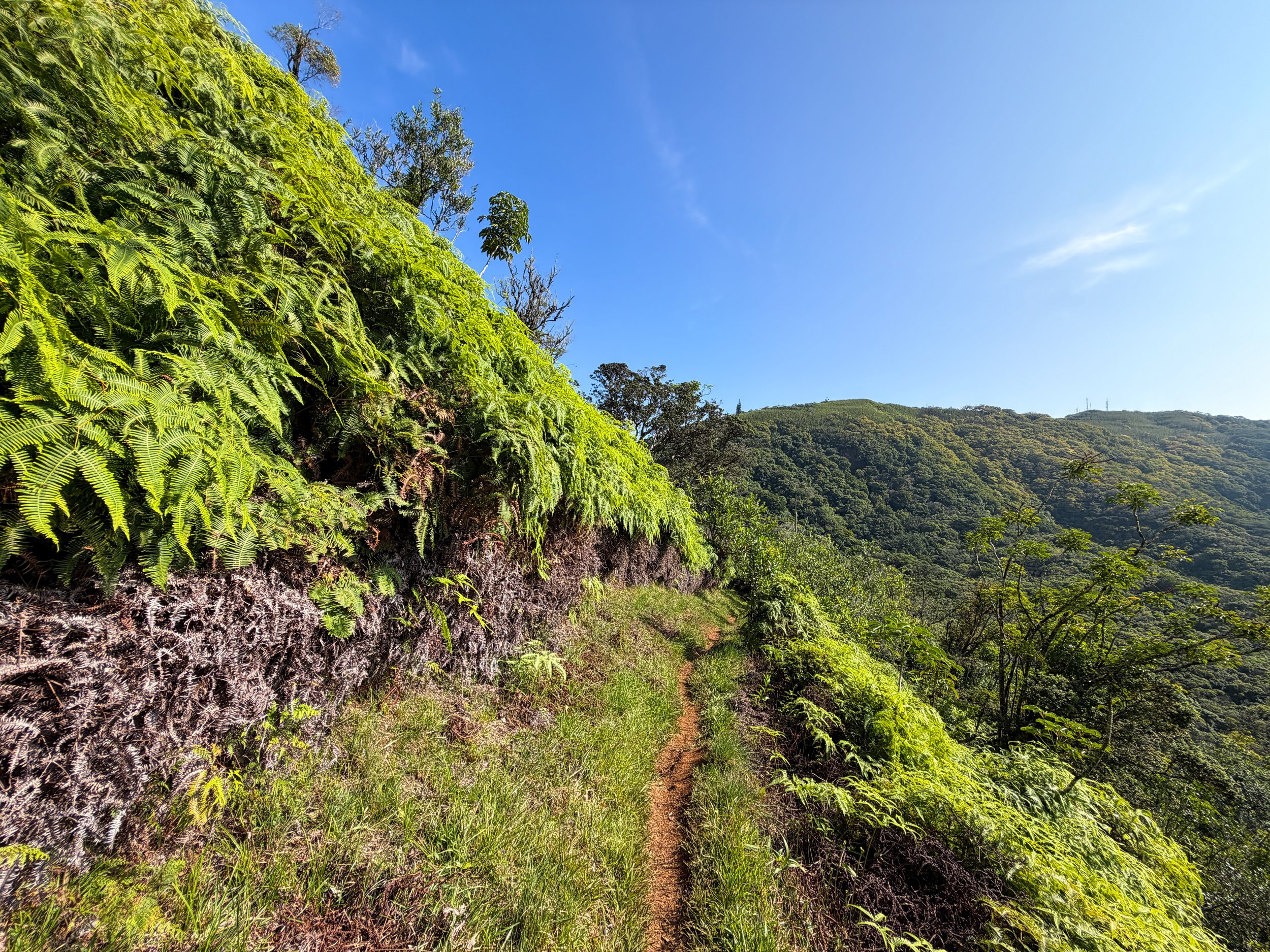 Nuuanu Trail Oahu Hawaii
