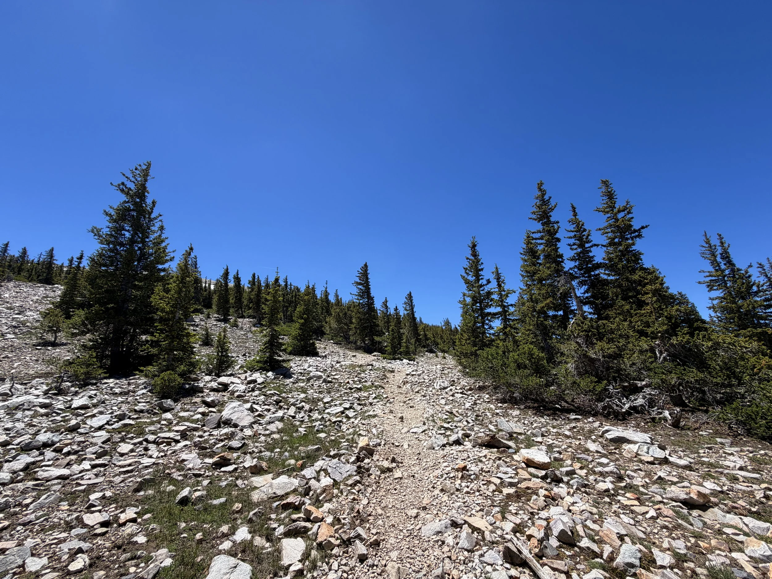 Wheeler Peak Summit Trail Great Basin National Park Nevada