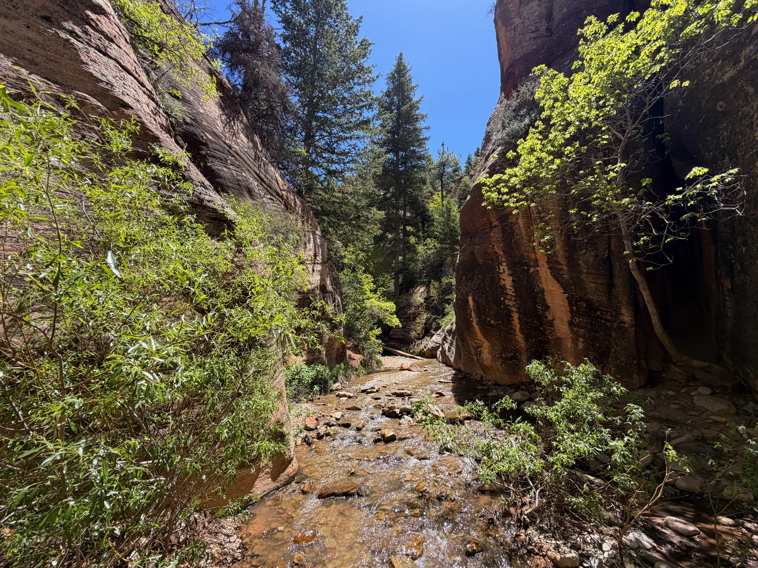 Kanarra Falls Trail Kanarraville Utah