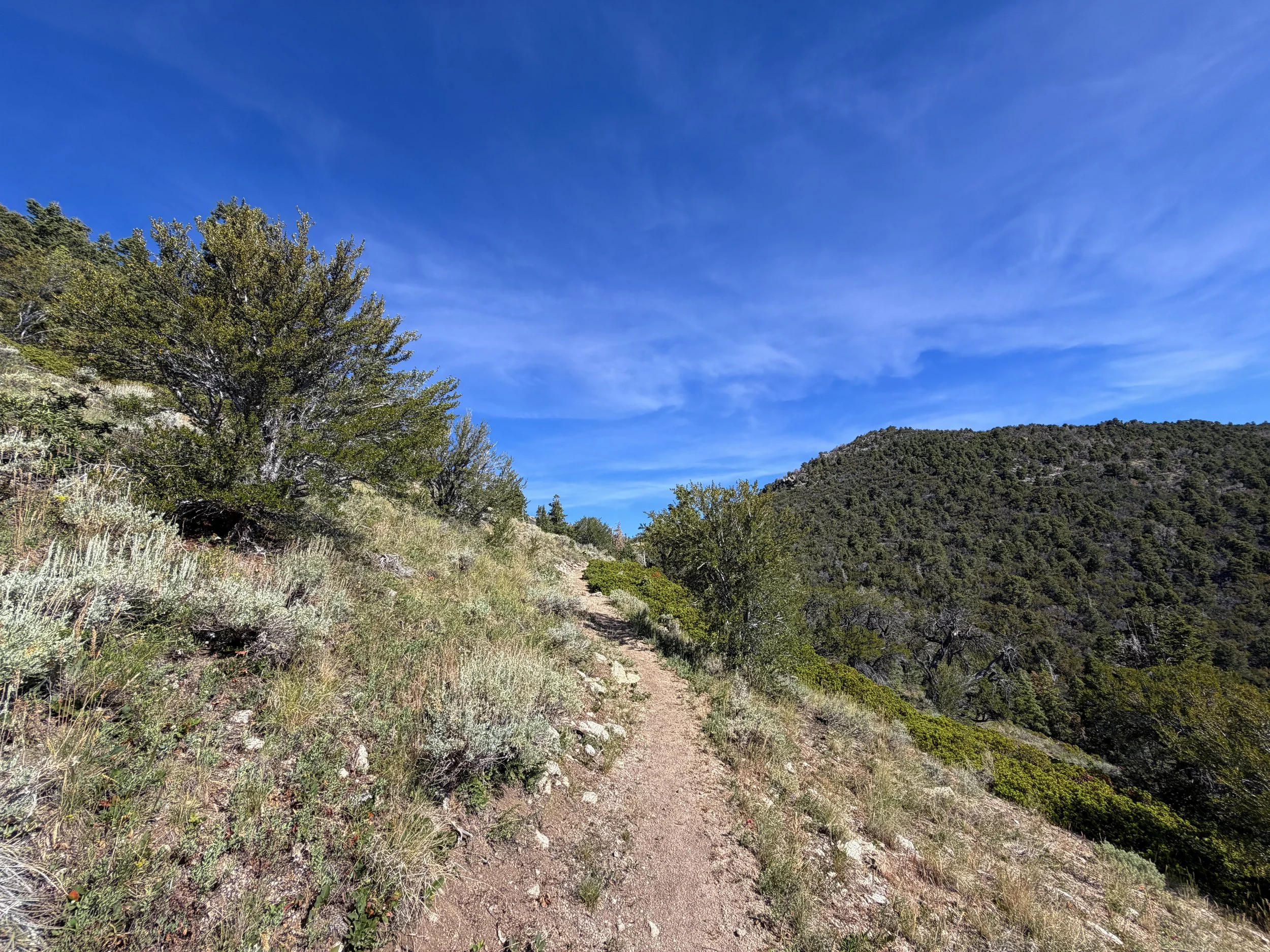 Pole Canyon Hike Great Basin National Park Nevada