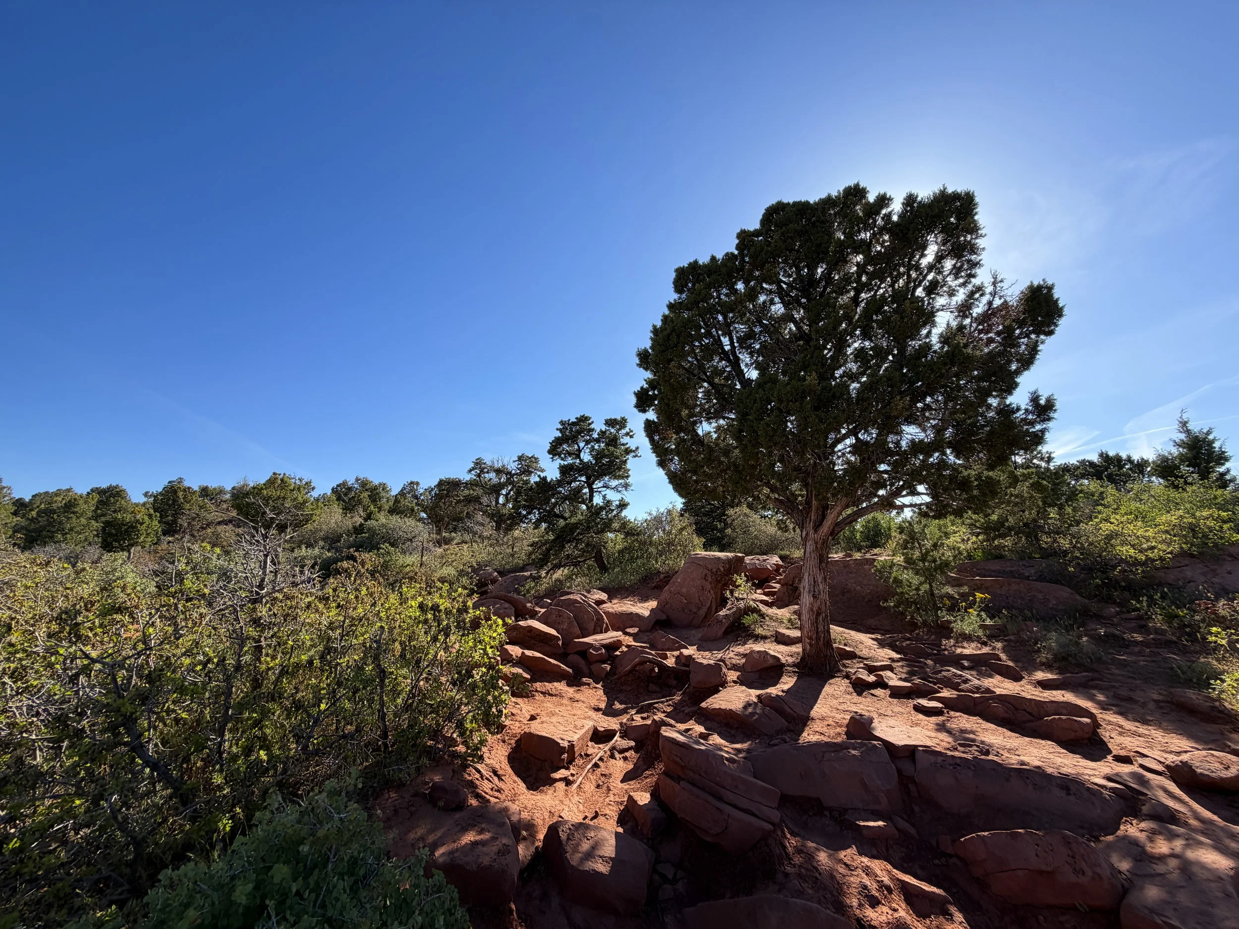 Timber Creek Overlook Trail Zion National Park Utah