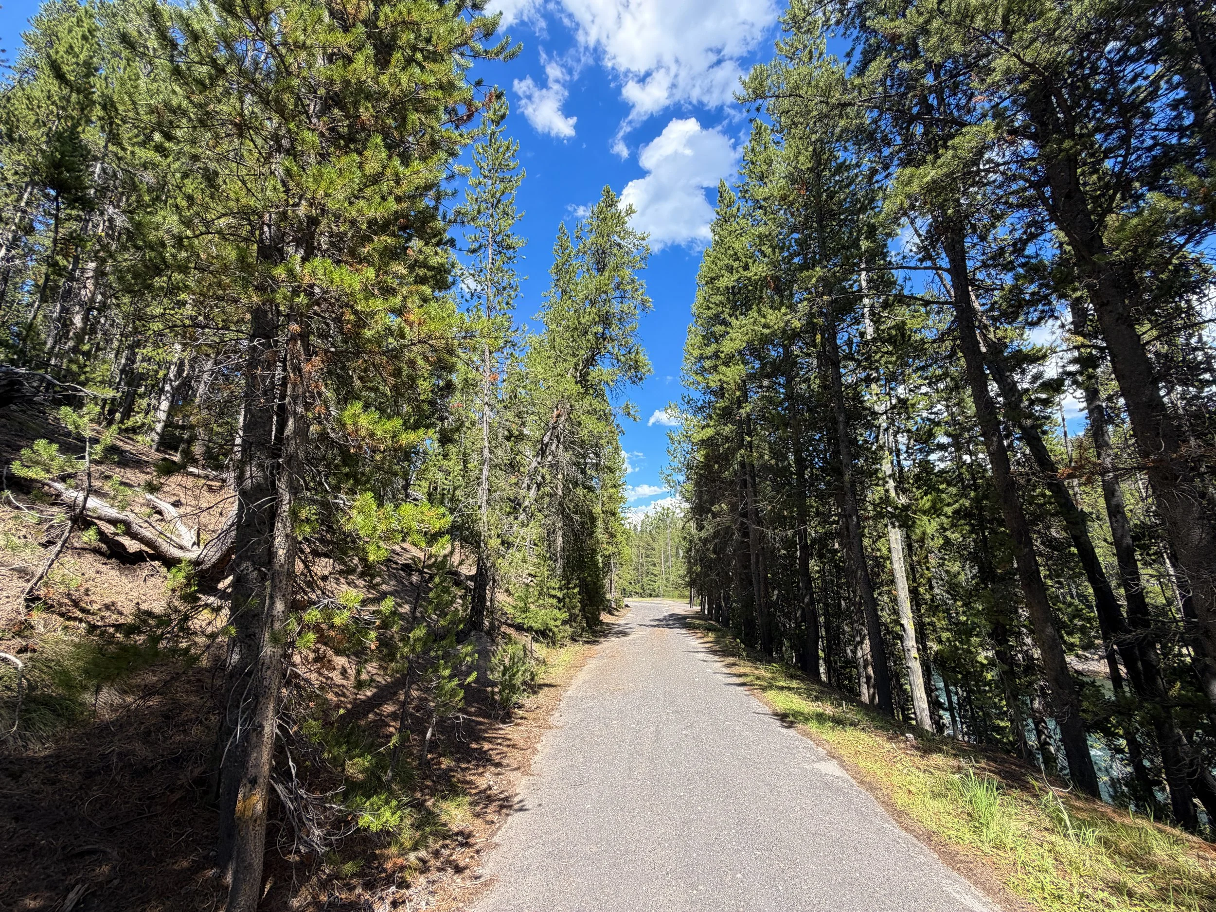 North Rim Trail Yellowstone National Park Wyoming