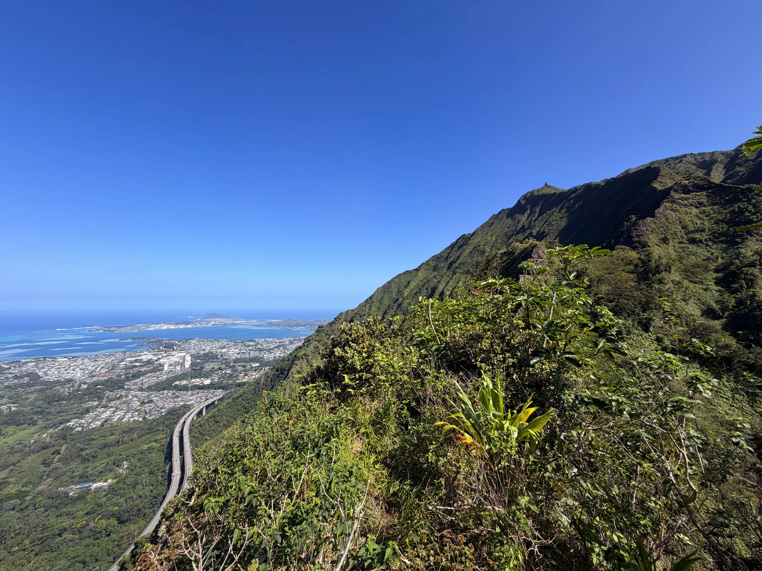 Moanalua Saddle Koolau Summit Trail Oahu Hawaii