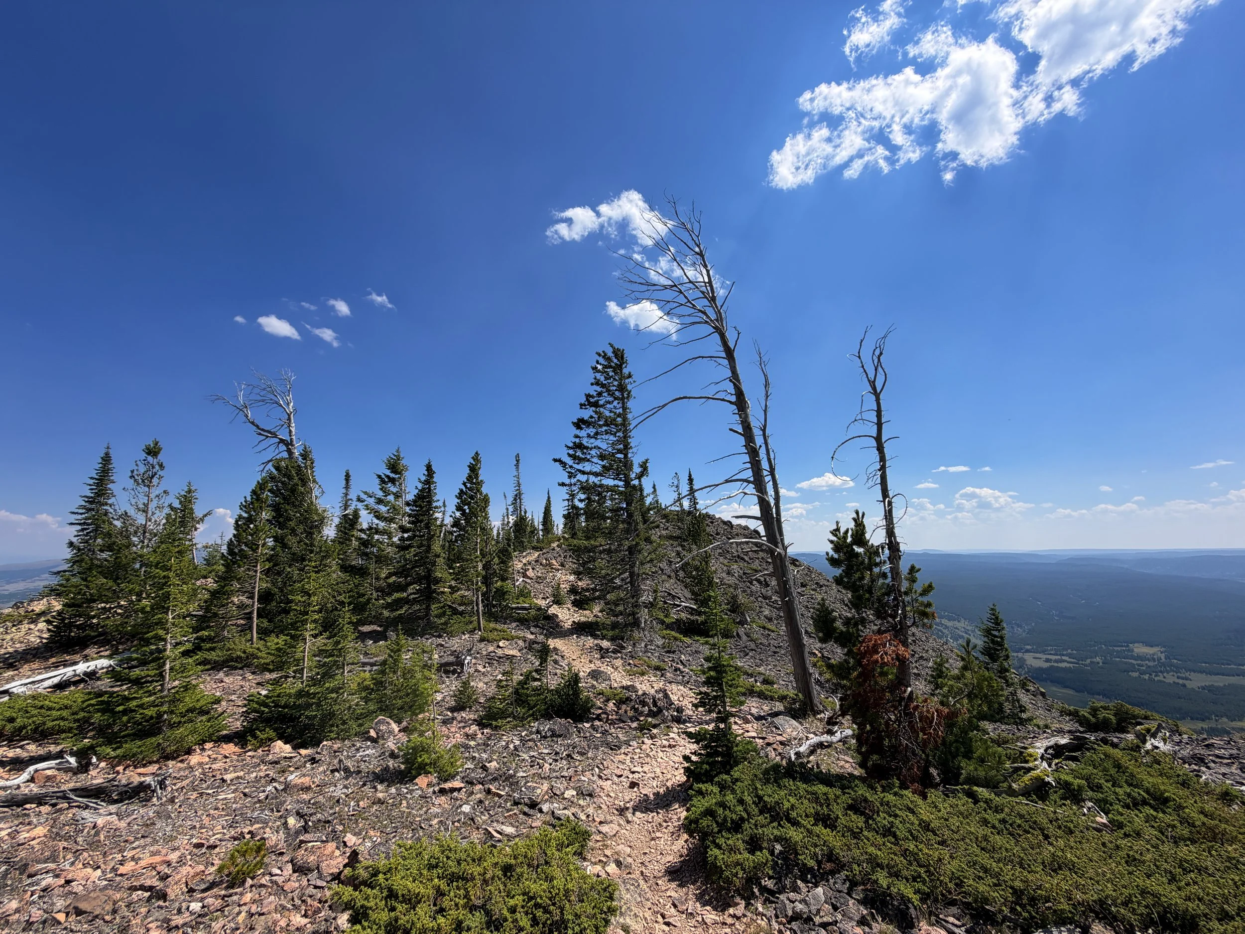 Bunsen Peak Loop Trail Yellowstone National Park Wyoming