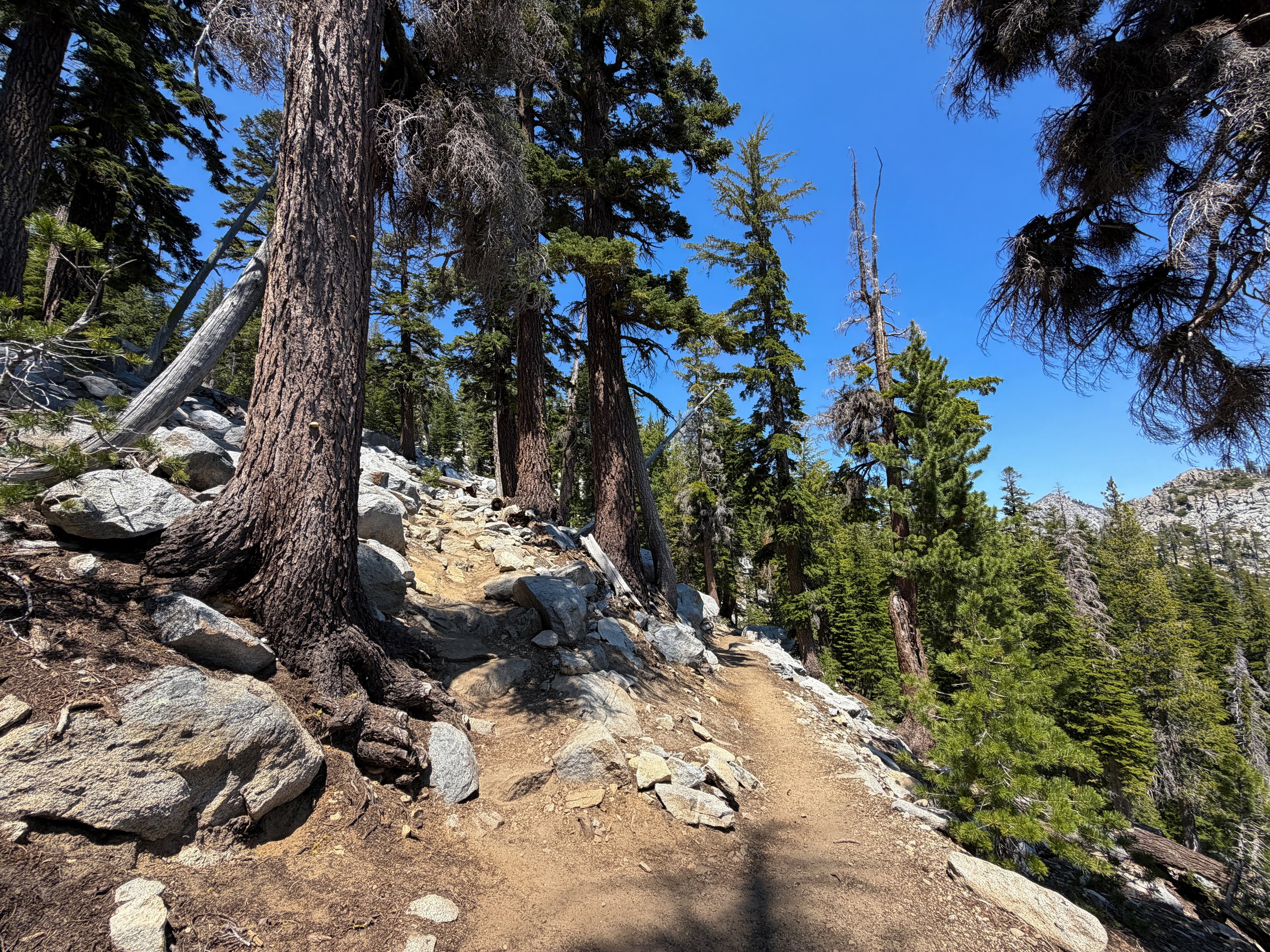Maggies Peak Hike Lake Tahoe California