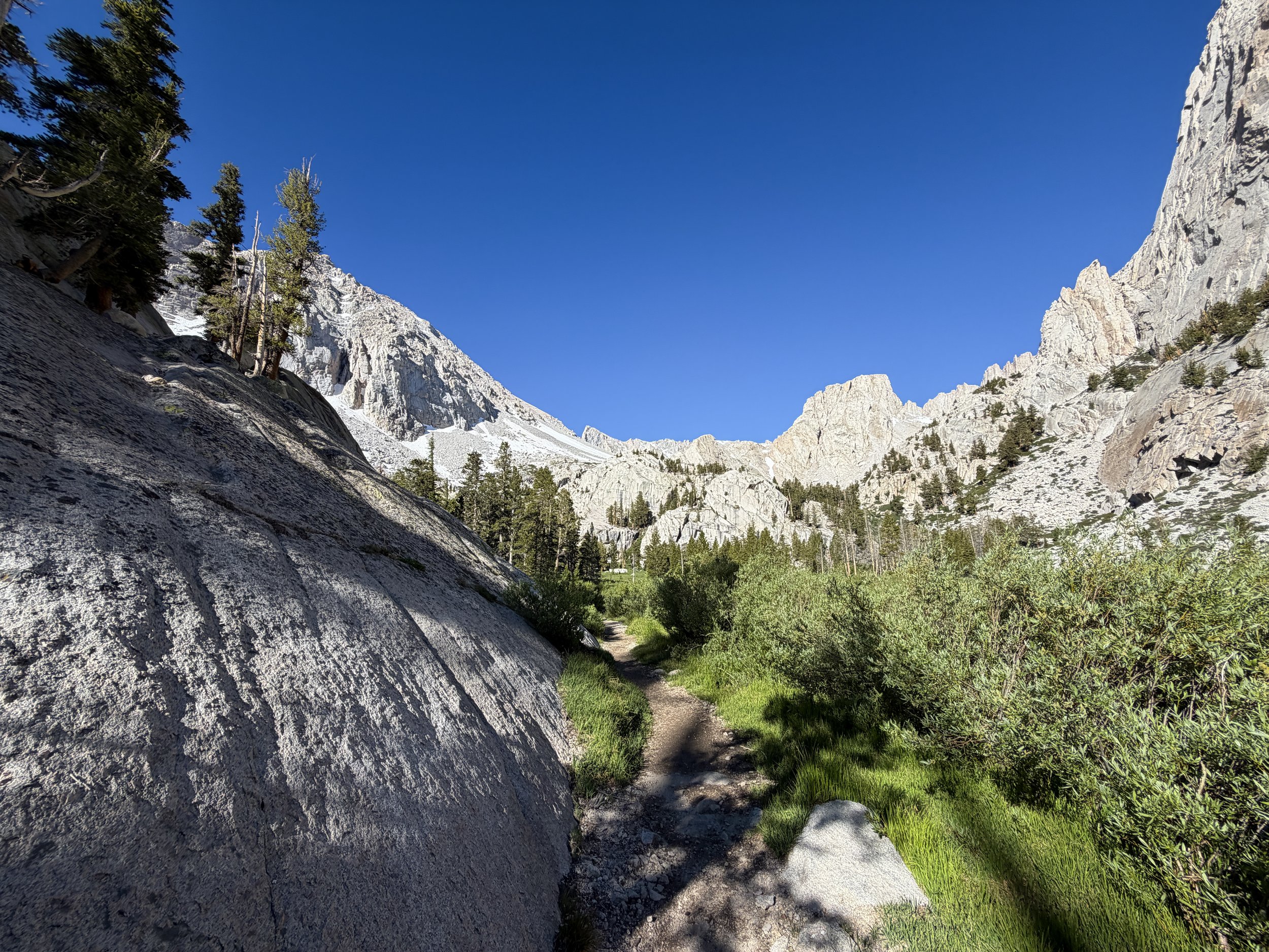 Bighorn Park Meadow Mount Whitney Trail California