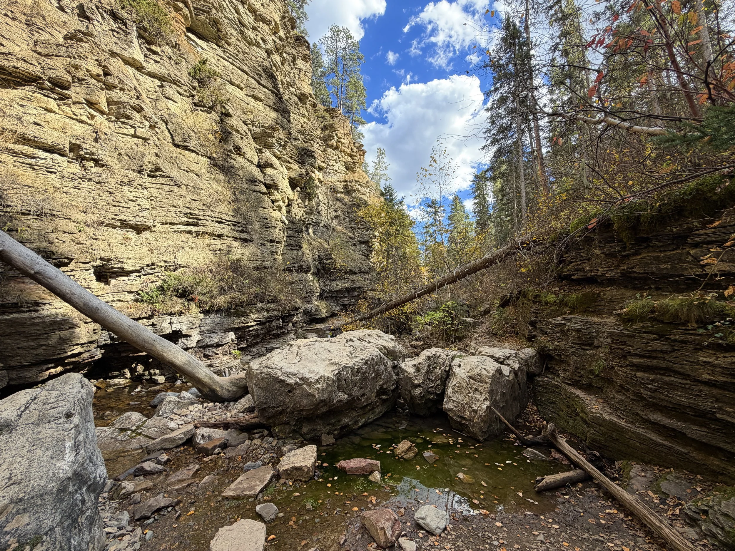 Devils Bathtub Trail Spearfish Canyon Black Hills South Dakota