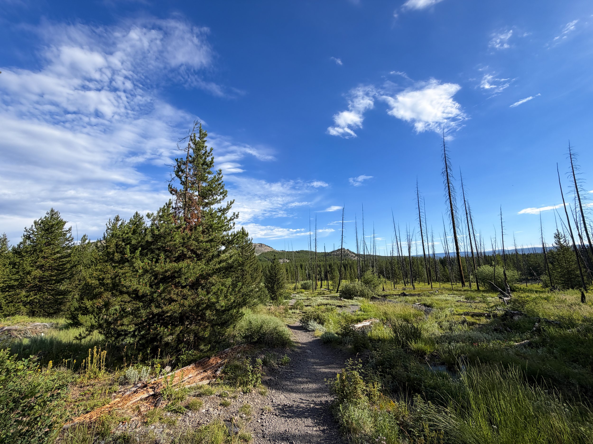 Fairy Falls Trail to Imperial Geyser Yellowstone National Park Wyoming