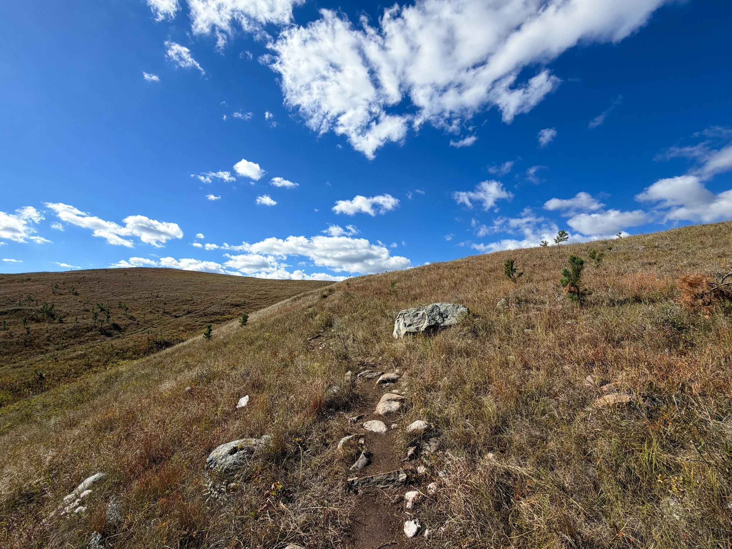 Lookout Point Loop Trail Wind Cave National Park South Dakota